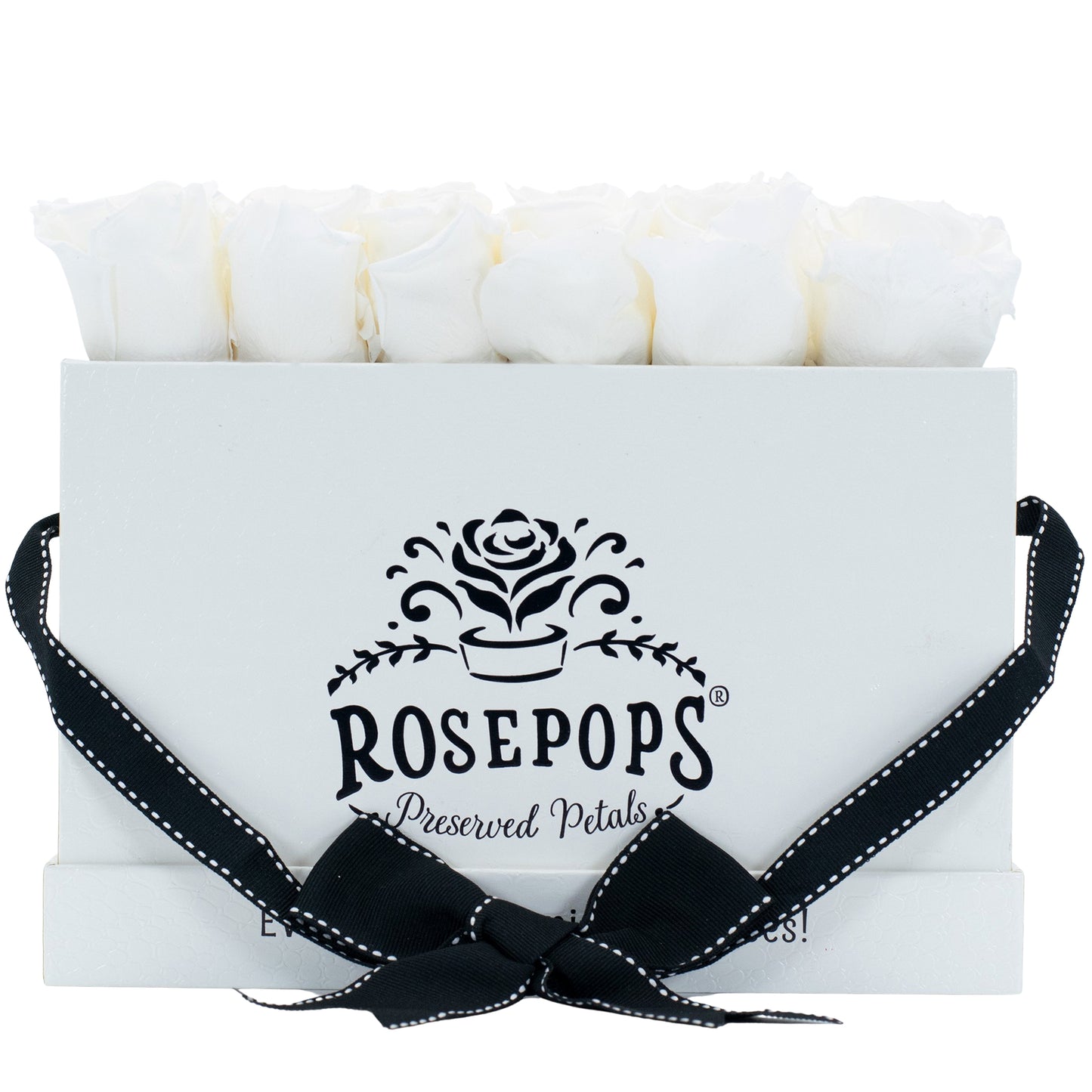 12 Roses Rectangle - White Croc