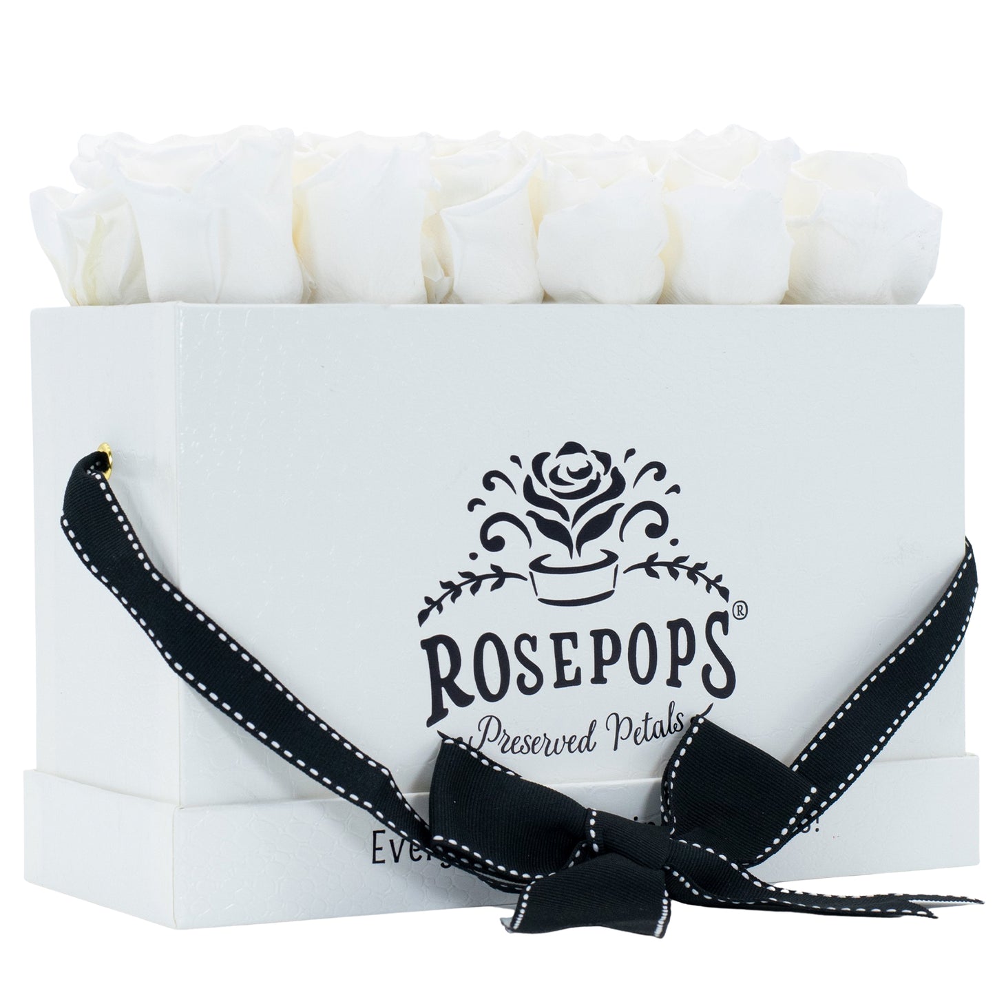 12 Roses Rectangle - White Croc