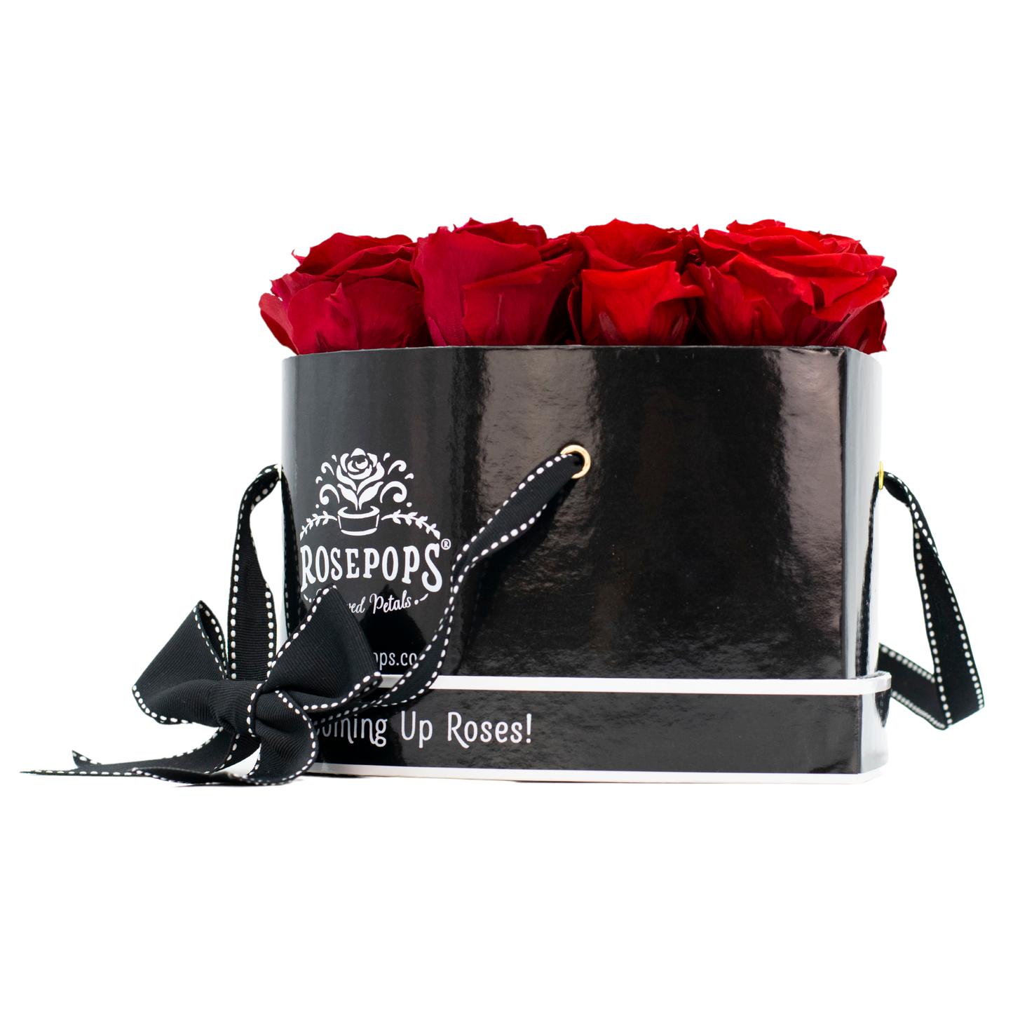 Black Monogrammed Lucky 13 - Cherry Roses