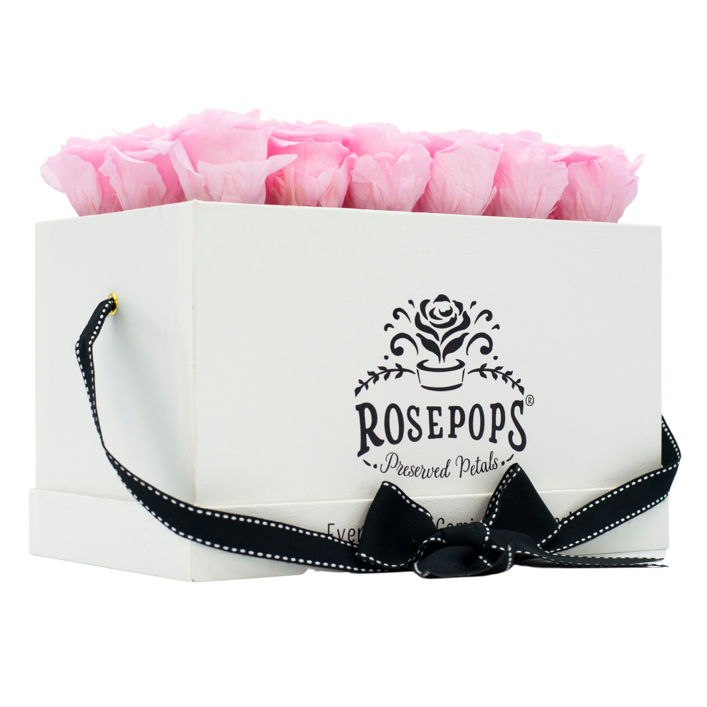 White Monogrammed Pop of the Line - 18 Cotton Candy Roses