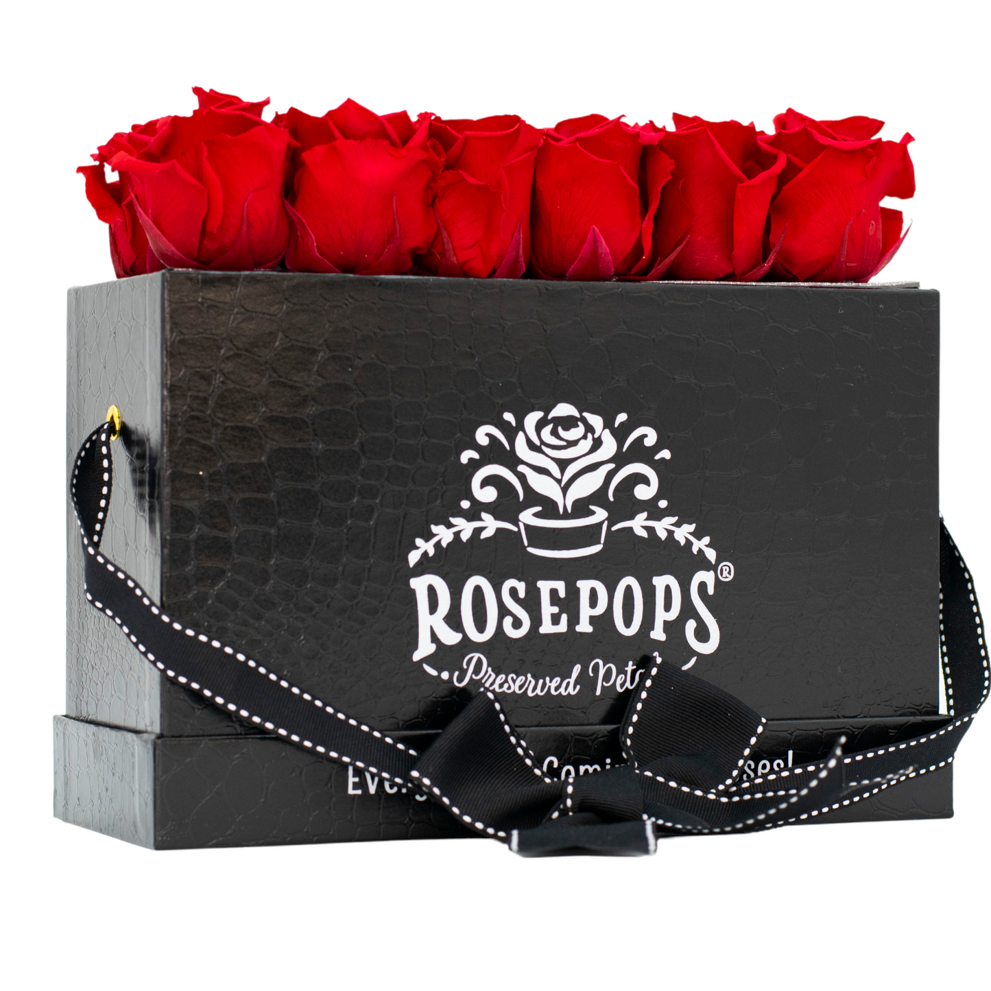 Black Monogrammed Keeper by the Dozen - 12 Red Roses