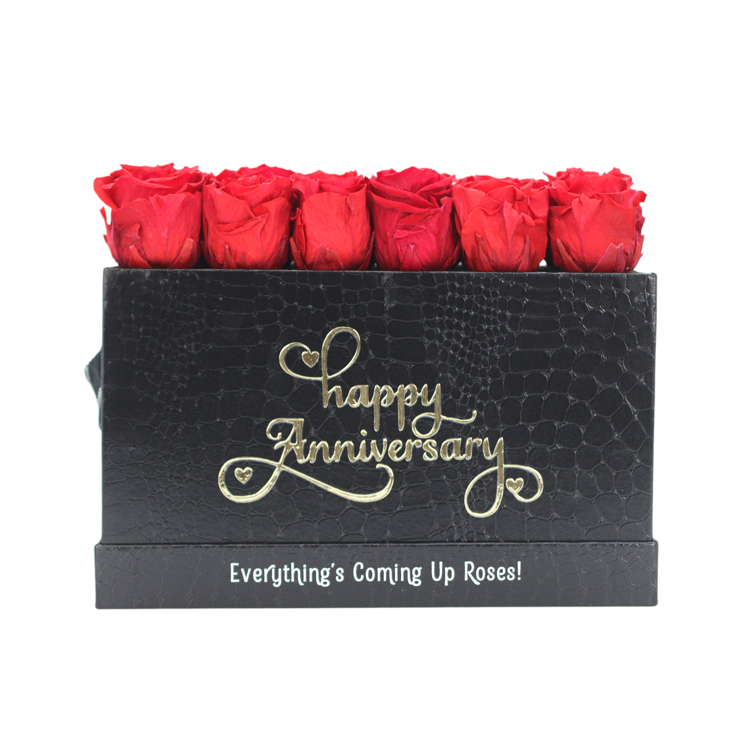 Anniversary Black Pop of the line