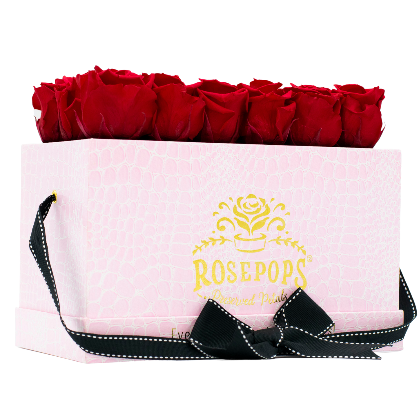 Pink Monogrammed Pop of the Line - 18 Cherry Roses