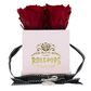 Four your Special Day (Mom/Grandma) - 4 Red Roses