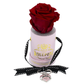 Happy Day (Mom/Grandma) - Single Red Rose