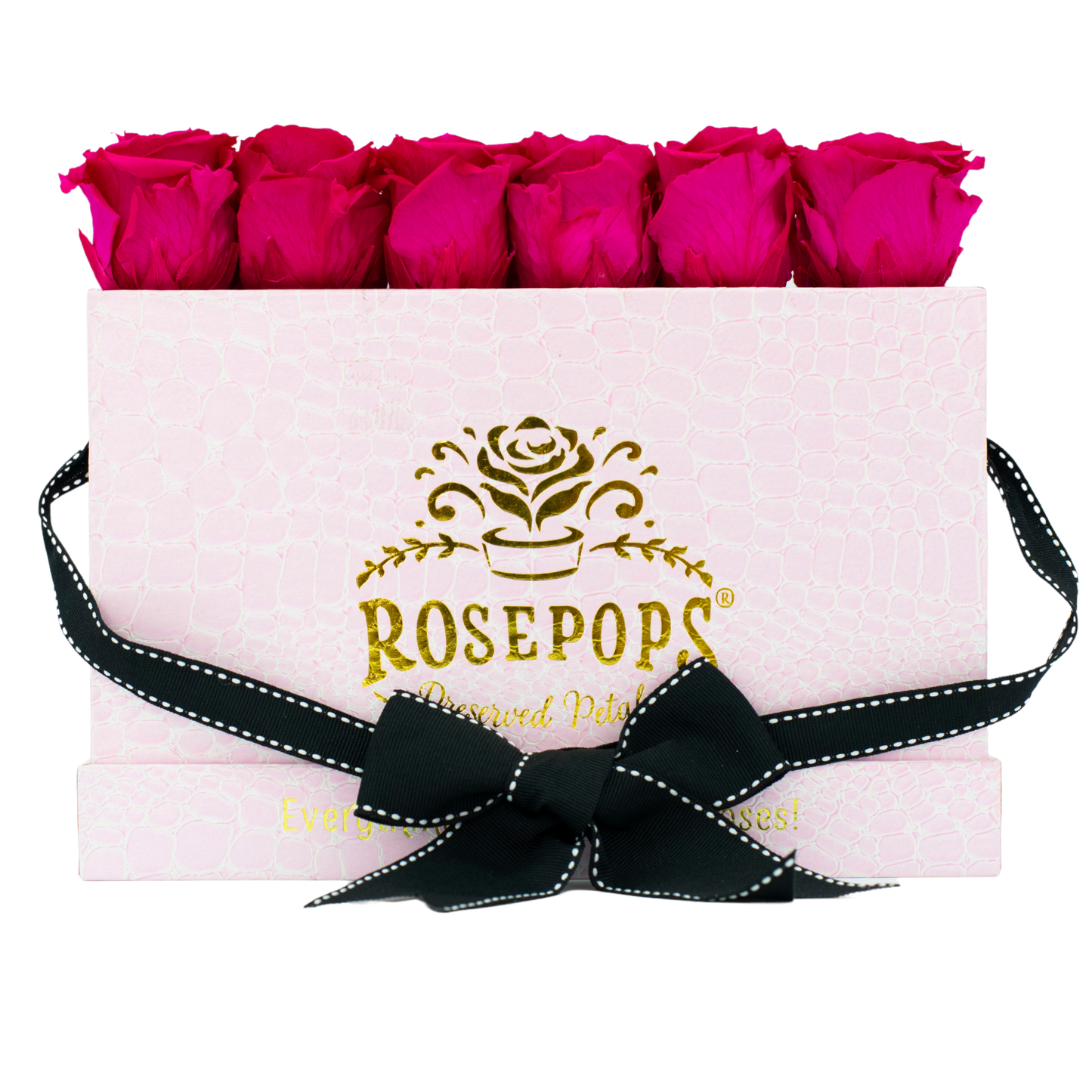 Pink Croc Keeper by the Dozen DELUXE