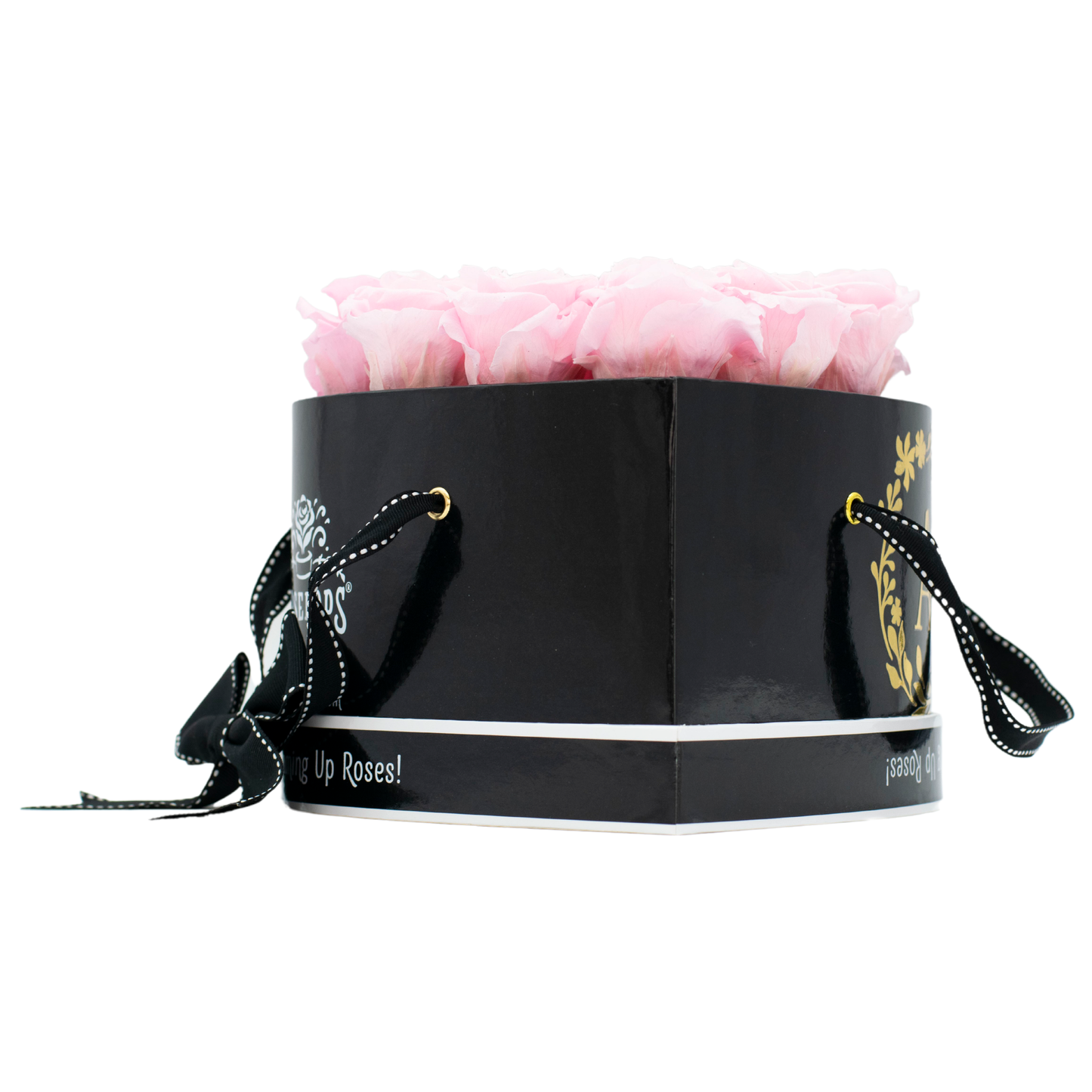 Black Monogrammed Lucky 13 - Cotton Candy Roses