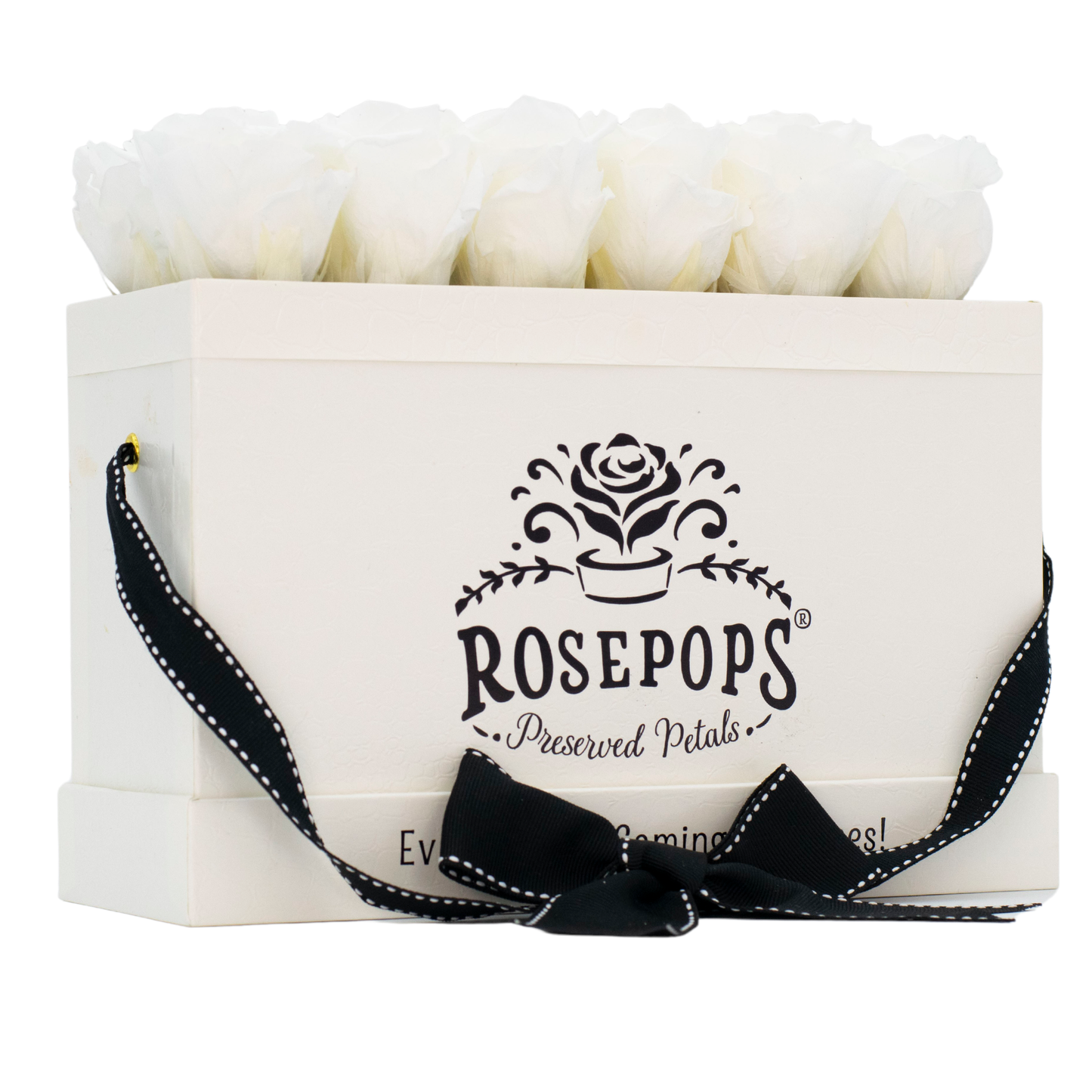 White Monogrammed Keeper by the Dozen - 12 True White Roses