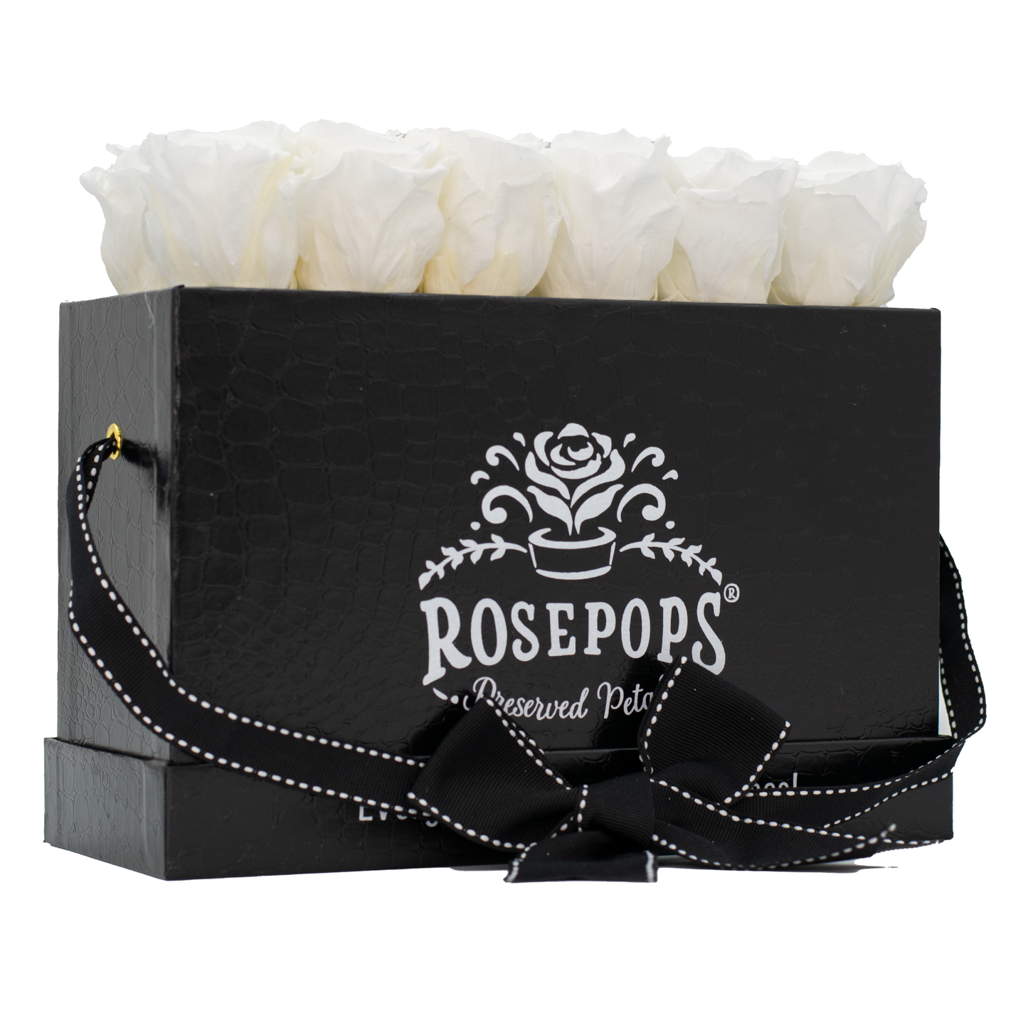 Black Monogrammed Keeper by the Dozen- 12 True White Roses