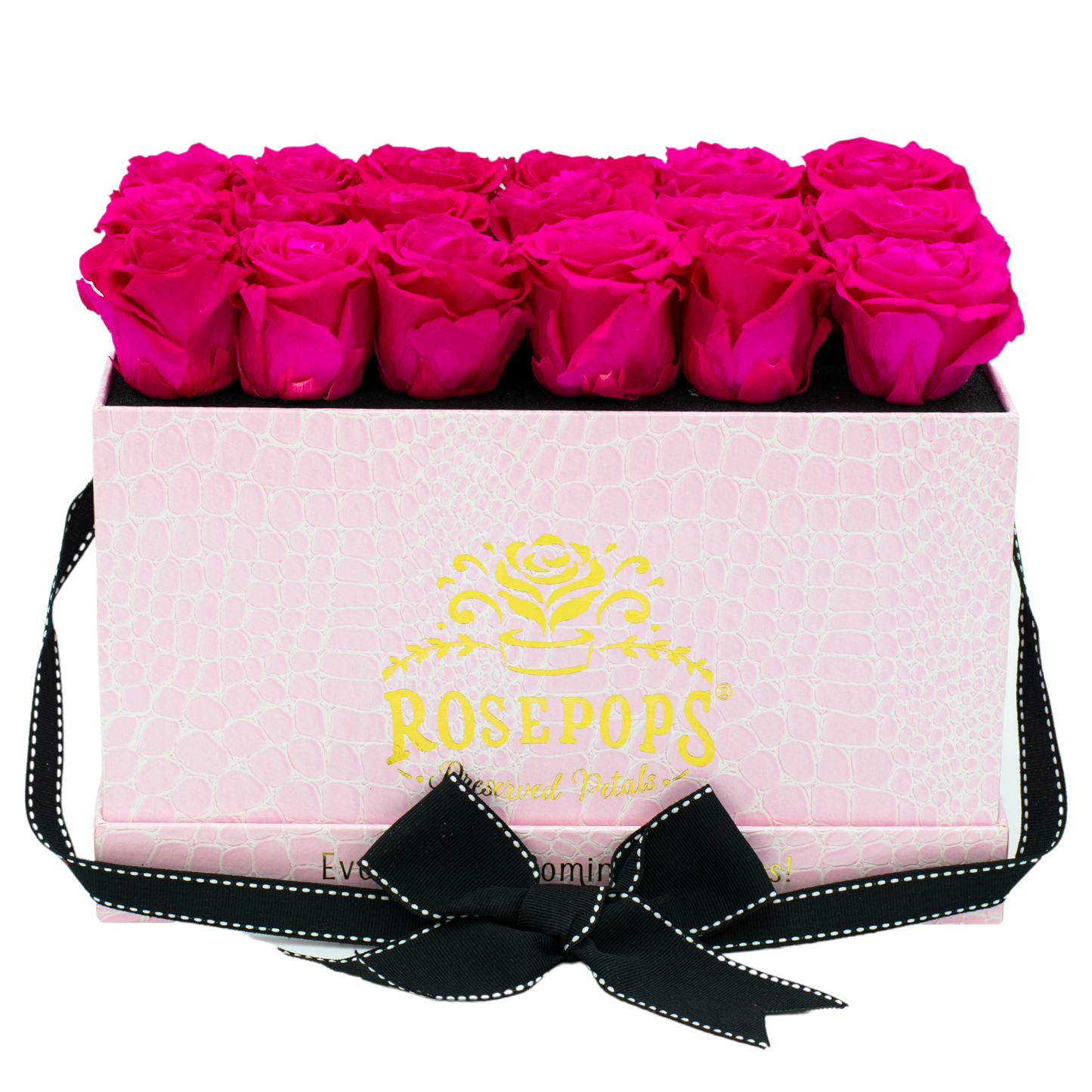 Pink Monogrammed Pop of the Line - 18 Raspberry Punch Roses