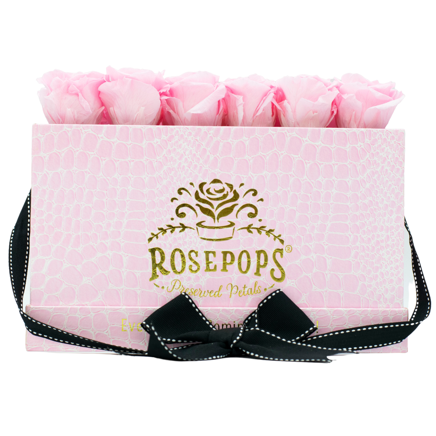 Pink Monogrammed Keeper by the Dozen - 12 Soft Pink Roses