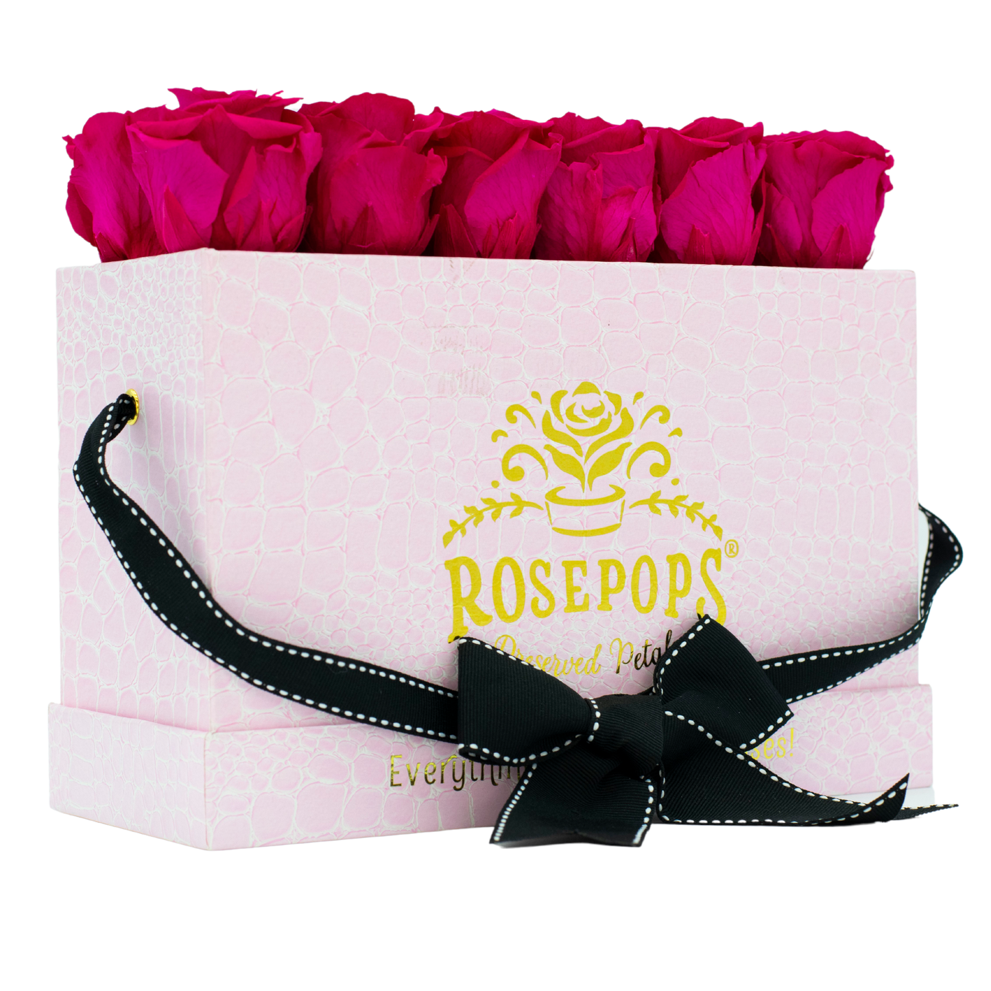 Pink Croc Keeper by the Dozen DELUXE
