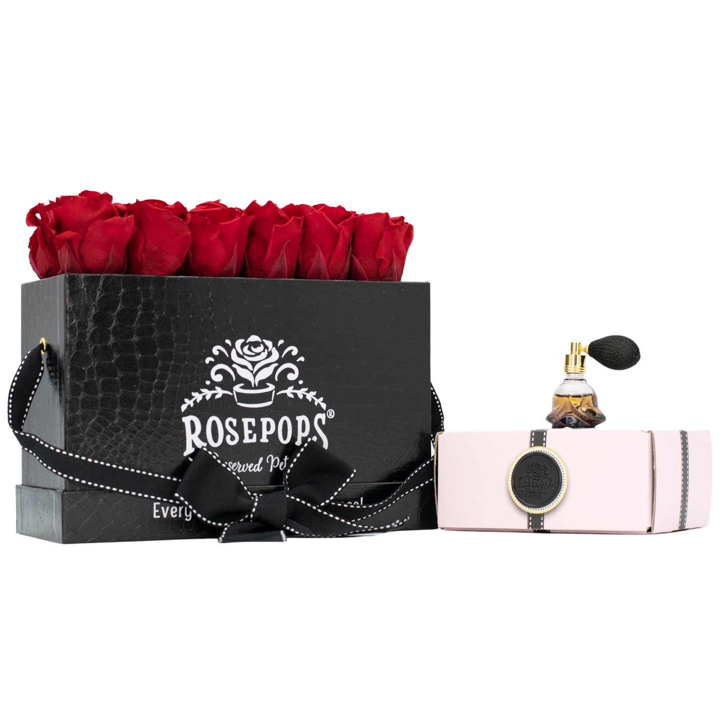 The Black Croc Keeper by the Dozen DELUXE