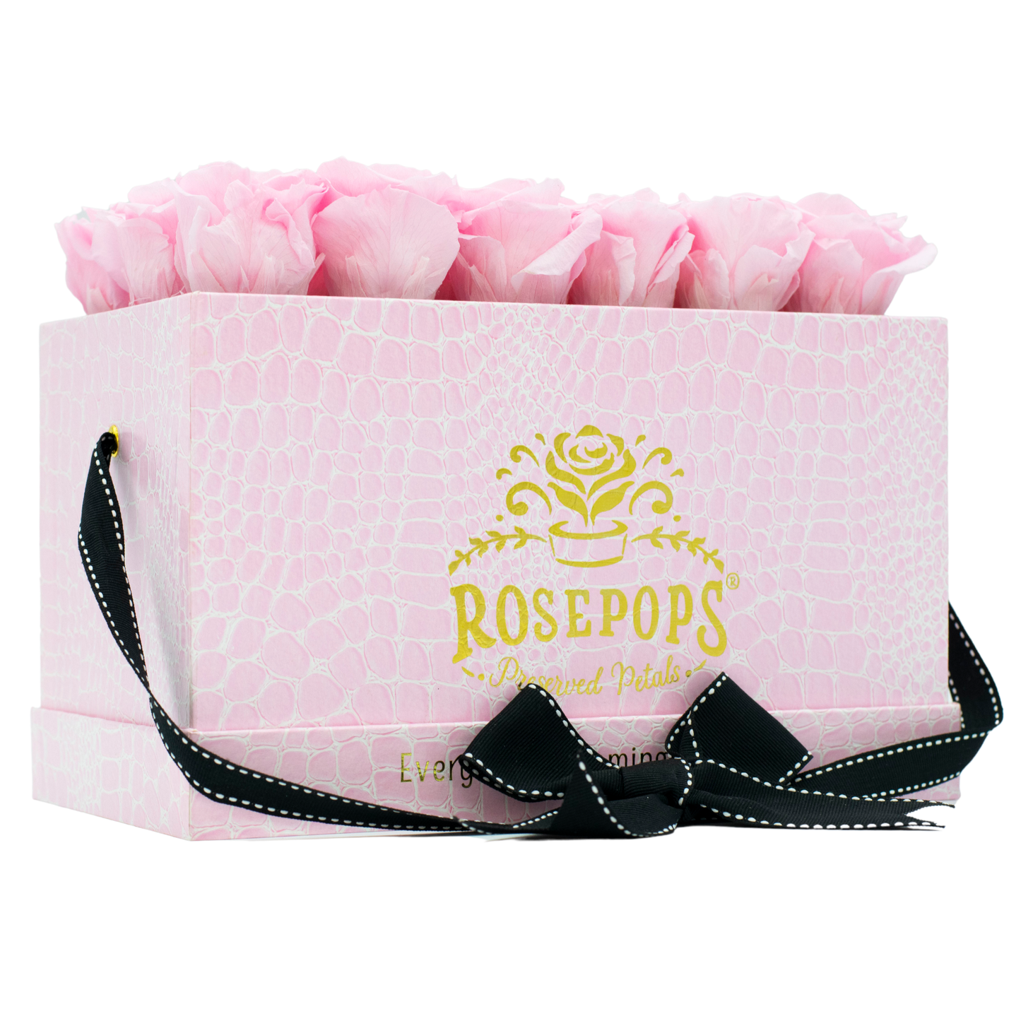 Pink Monogrammed Pop of the Line - 18 Cotton Candy Roses