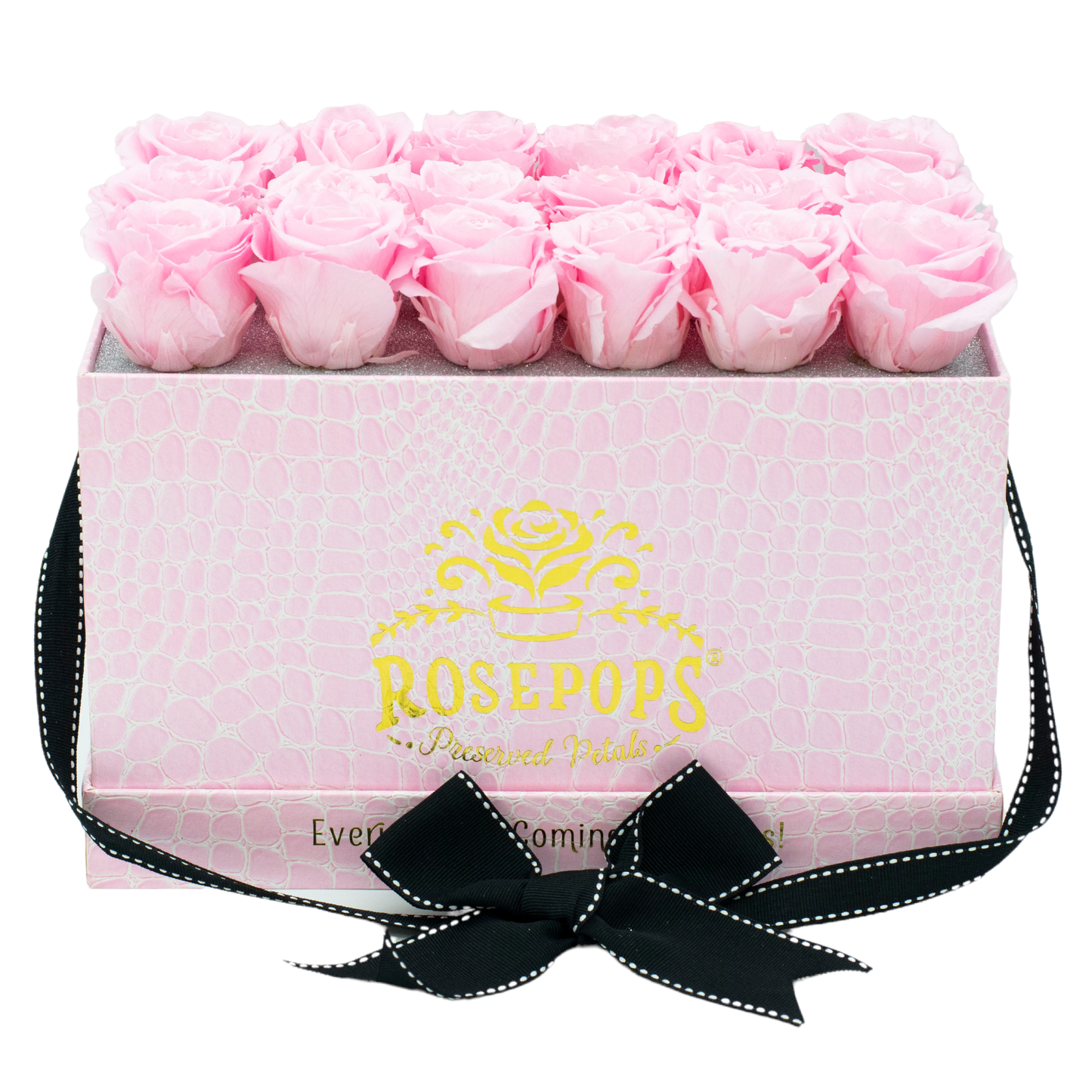 Pink Monogrammed Pop of the Line - 18 Cotton Candy Roses