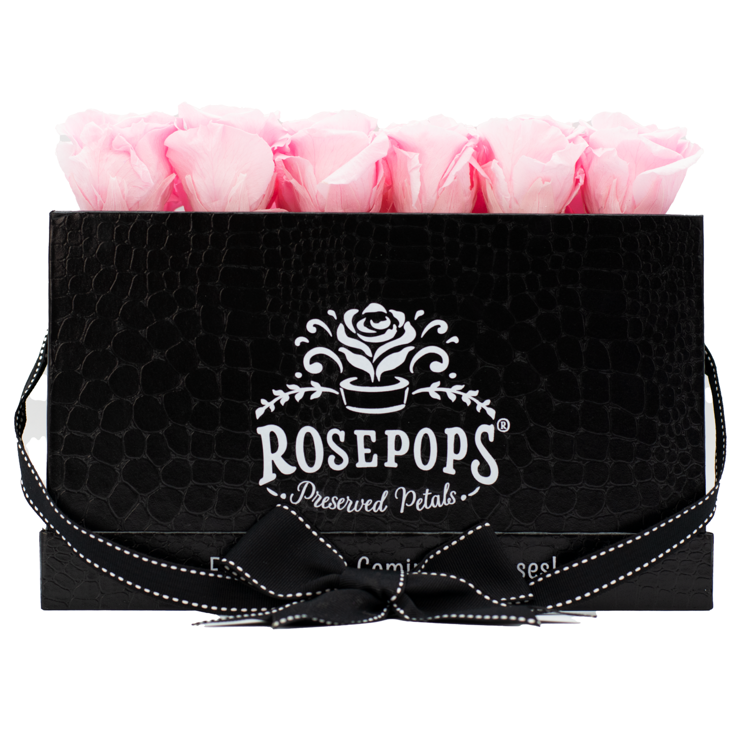 Black Monogrammed Pop of the Line - 18 Cotton Candy Pink Roses