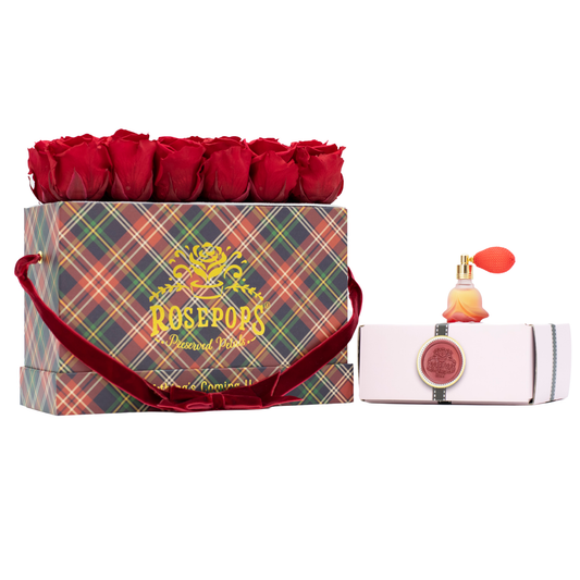 Westhampton Keeper by the Dozen Deluxe
