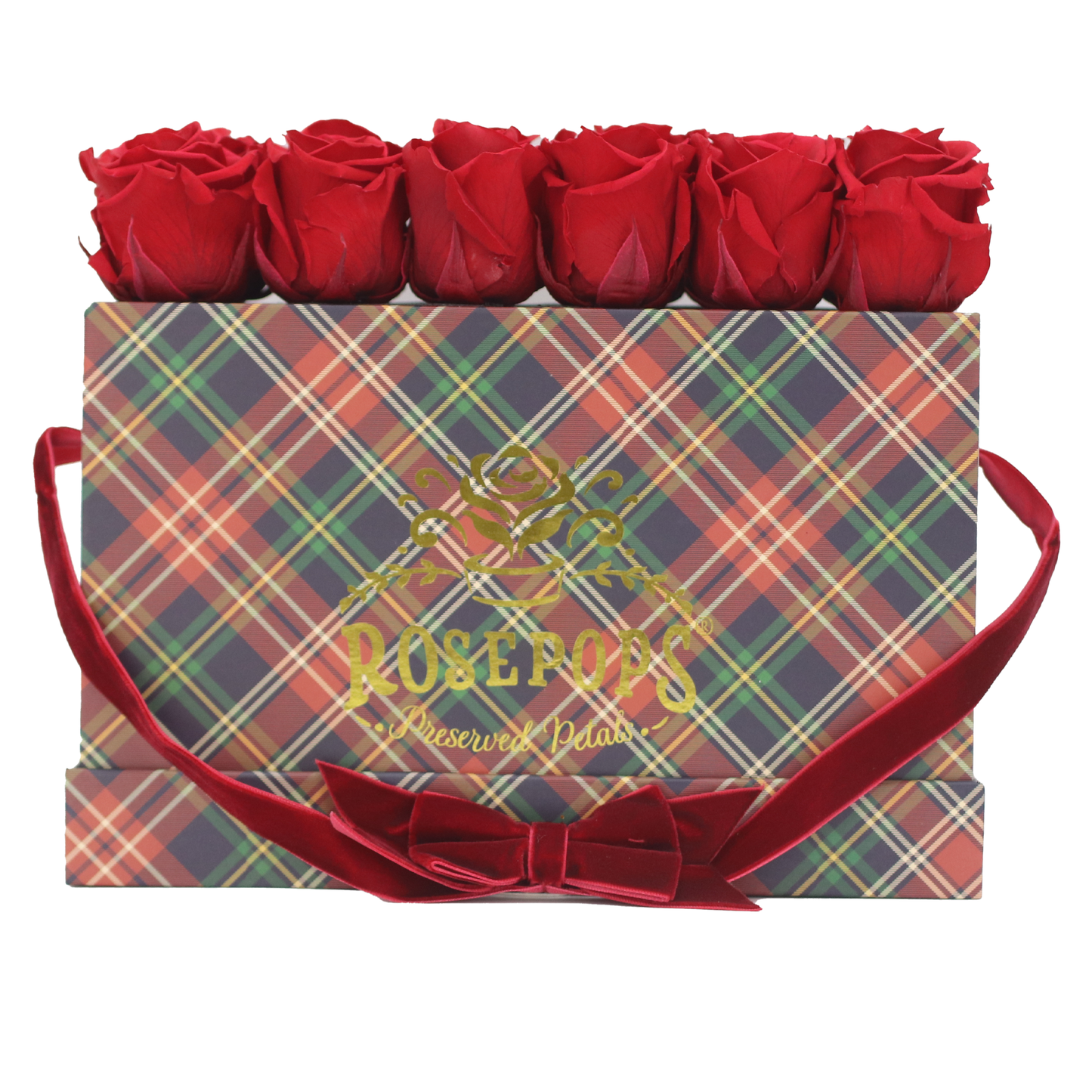 Westhampton Keeper by the Dozen Deluxe