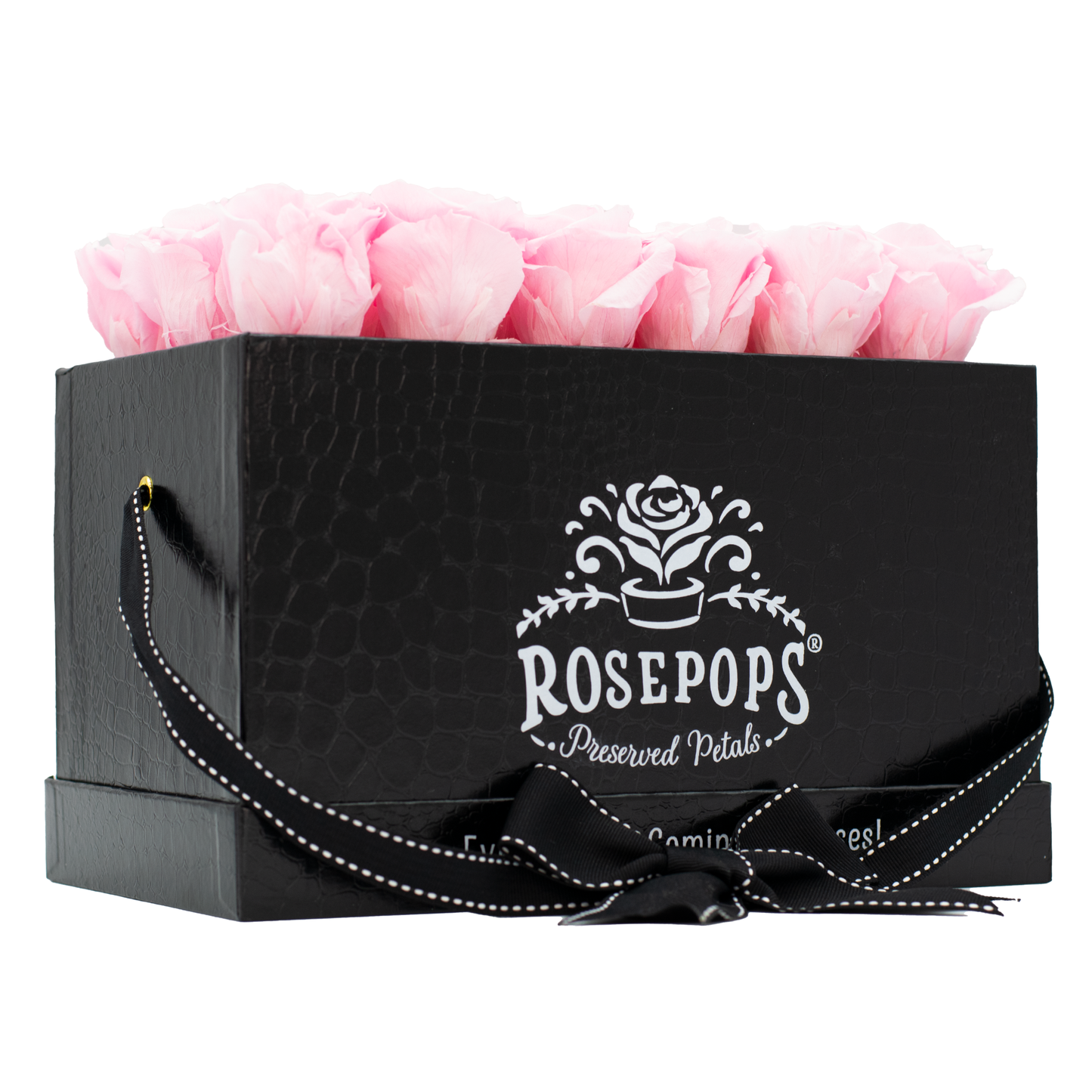 Black Monogrammed Pop of the Line - 18 Cotton Candy Pink Roses