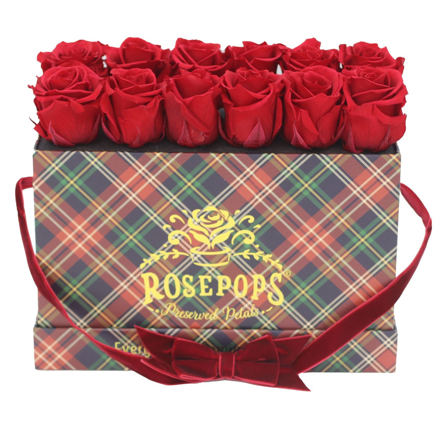 Westhampton Keeper by the Dozen Deluxe