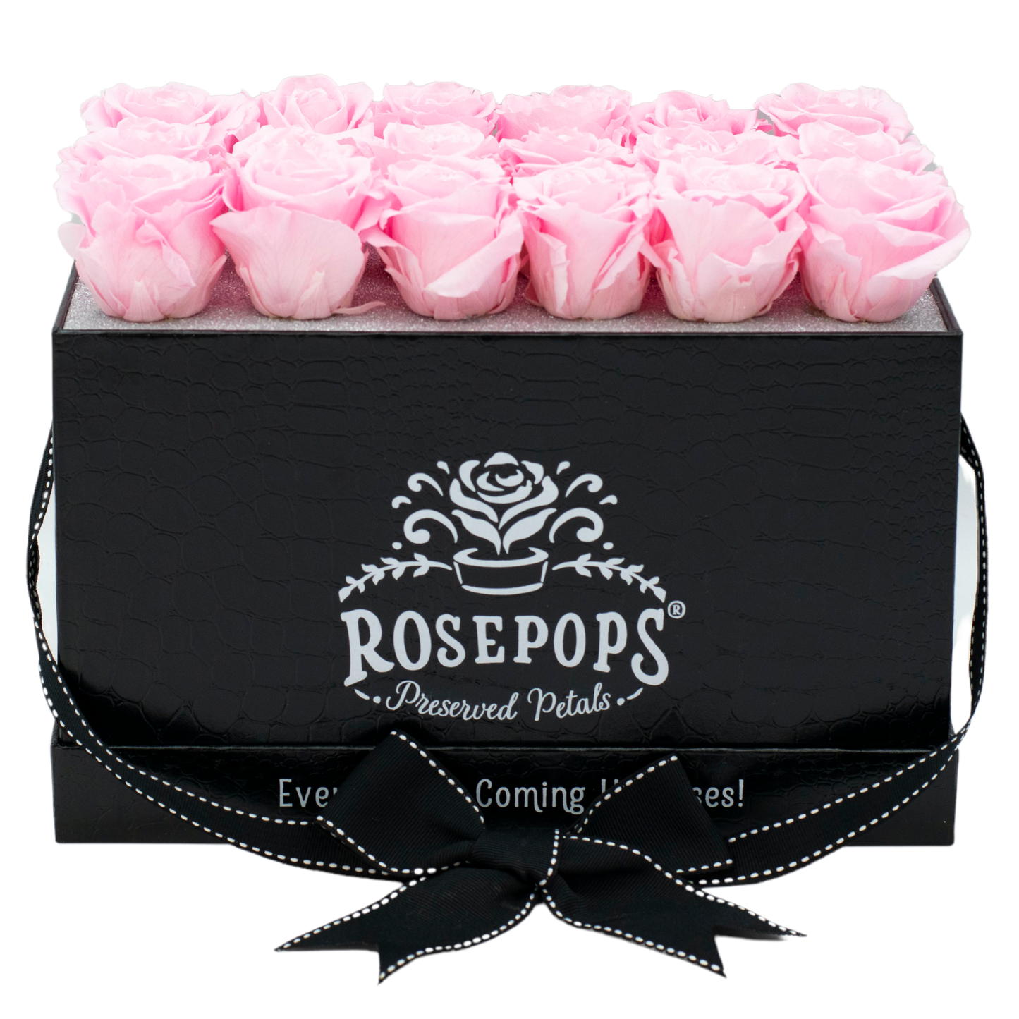 Black Monogrammed Pop of the Line - 18 Cotton Candy Pink Roses