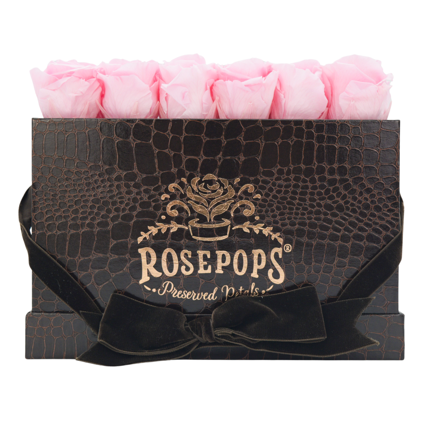 Chocolate Keeper by the Dozen DELUXE