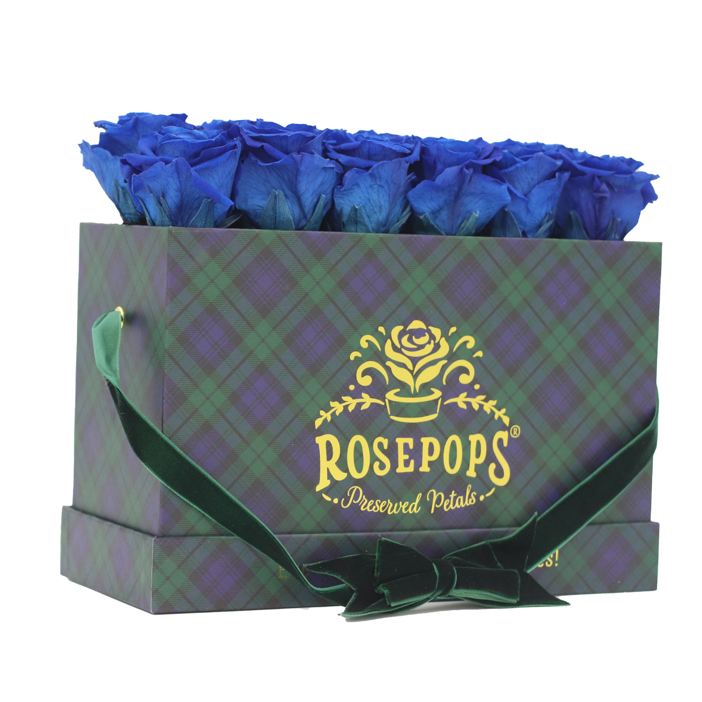 Highlands Keeper by the Dozen DELUXE