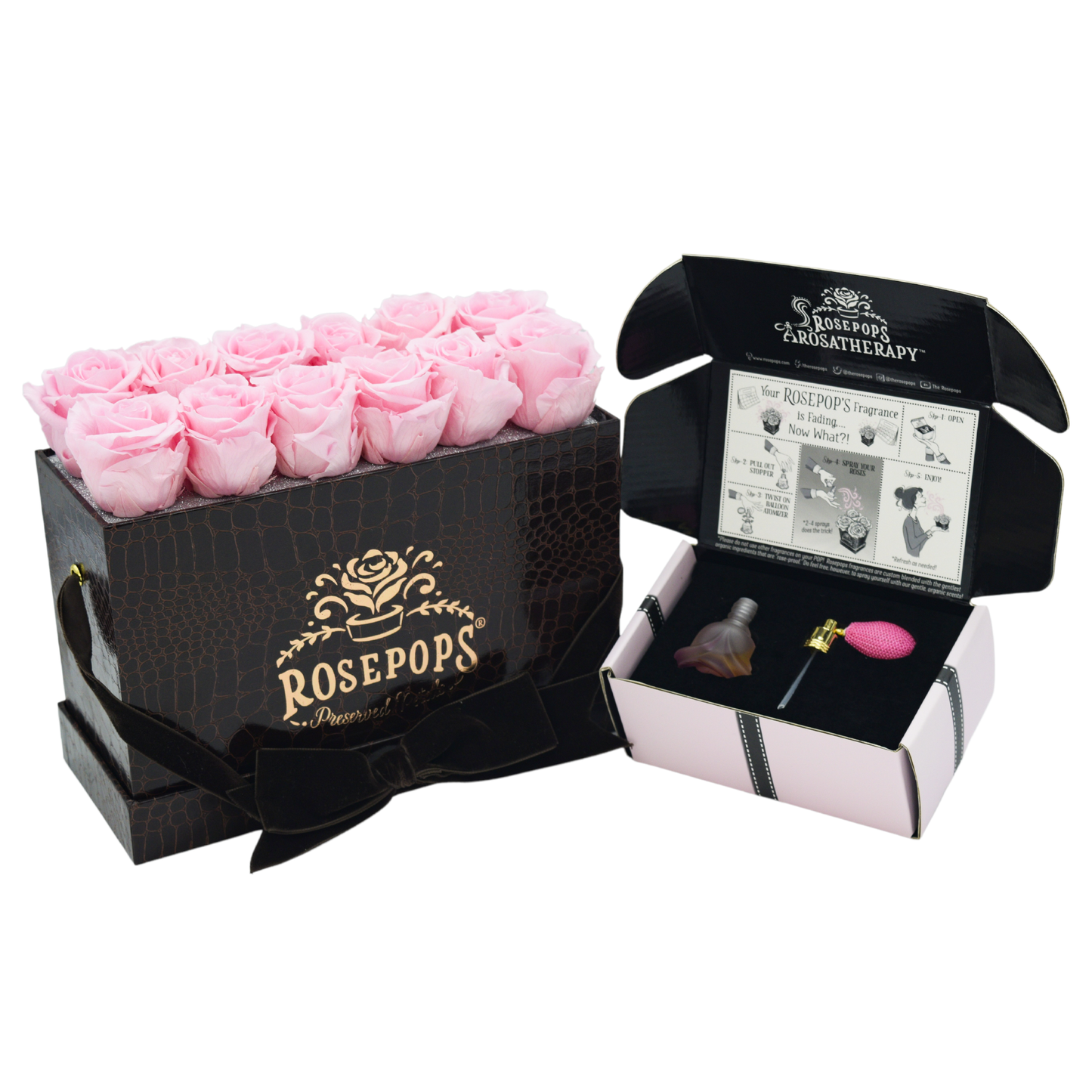 Chocolate Keeper by the Dozen DELUXE