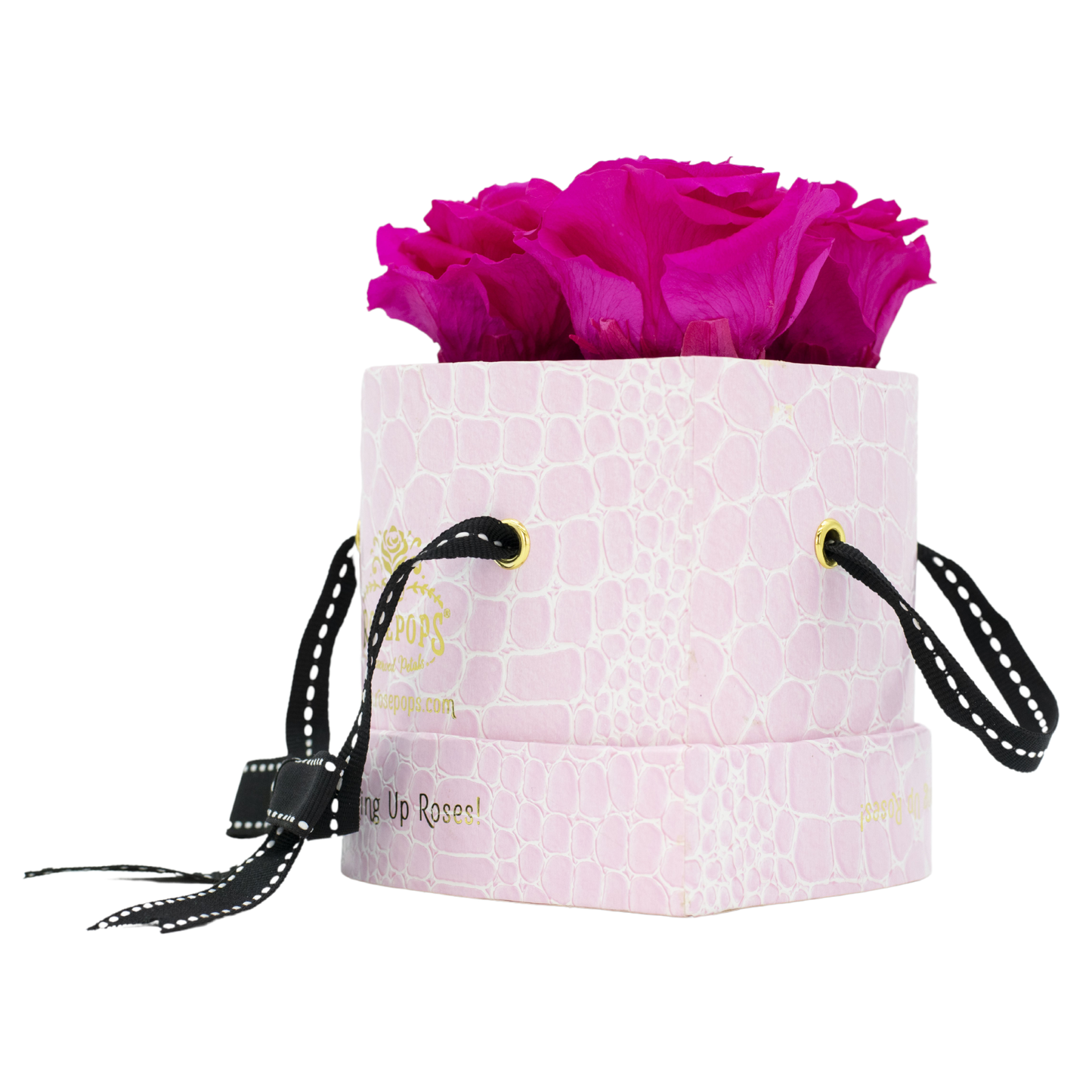 Pink Croc Three's a charm DELUXE