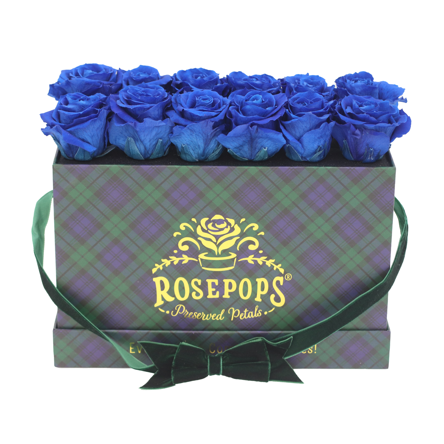 Highlands Keeper by the Dozen DELUXE