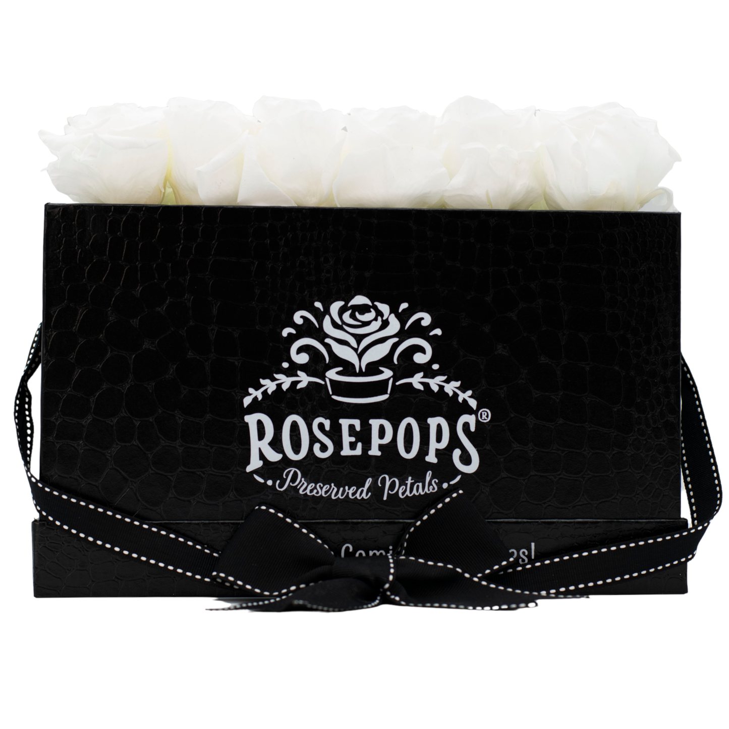 Black Monogrammed Pop of the Line - 18 Marshmallow Fluff Roses