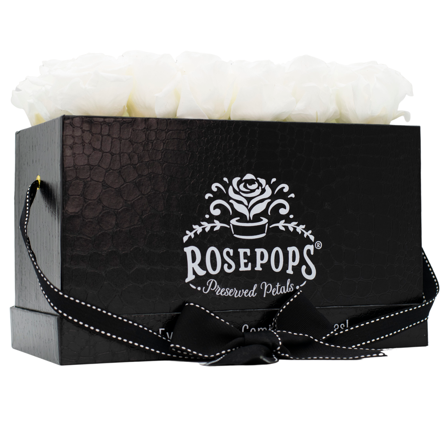 Black Monogrammed Pop of the Line - 18 Marshmallow Fluff Roses