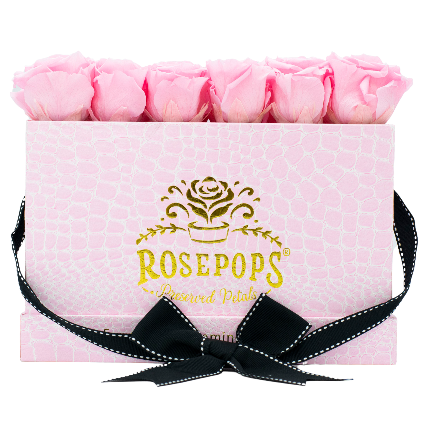 Noontime Petal Pink Deluxe