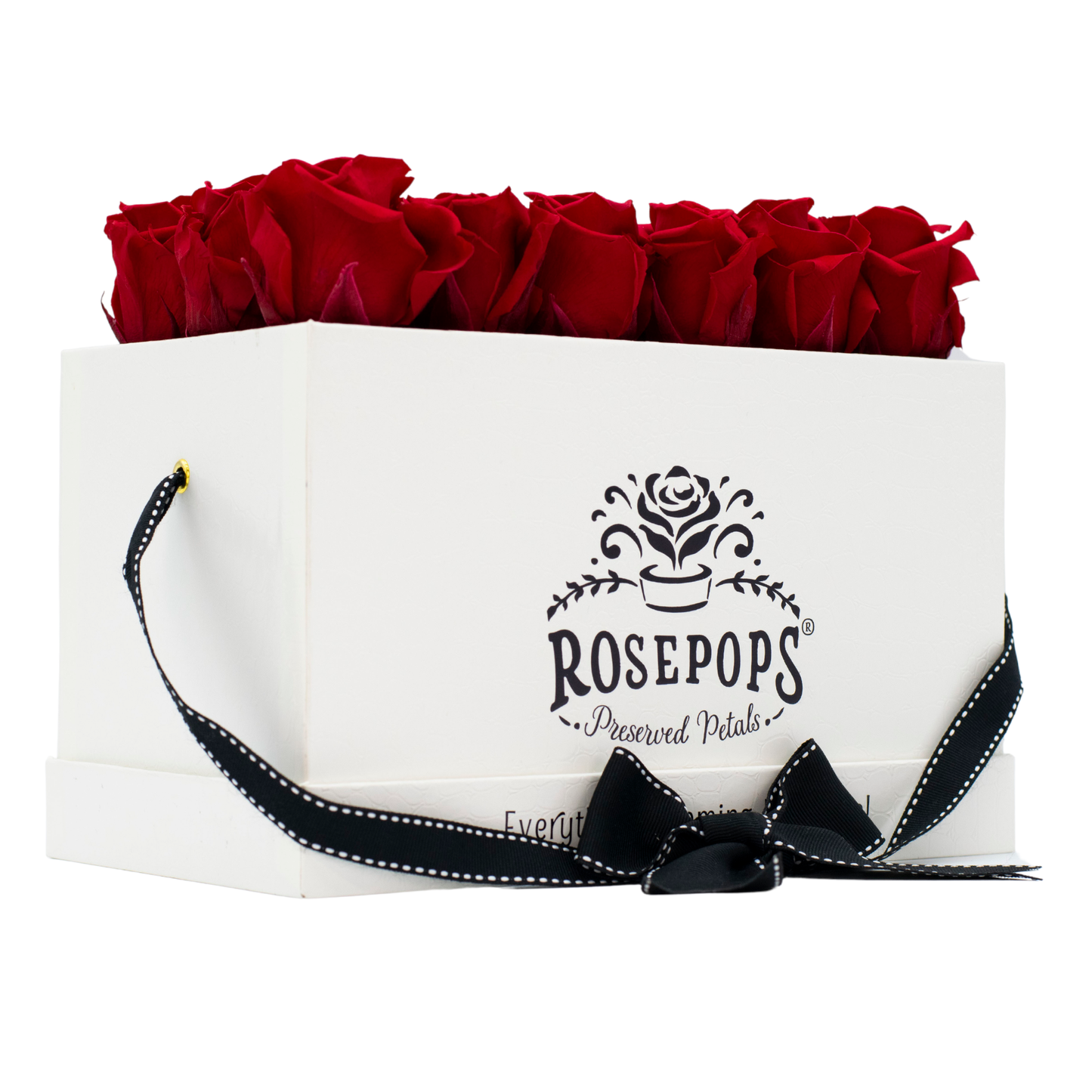 White Monogrammed Pop of the Line - 18 Cherry Crush Roses