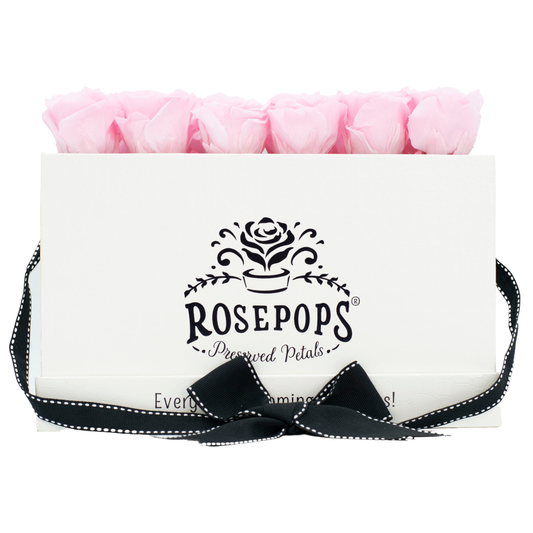 White Croc Pop of the Line - 18 Pink Roses