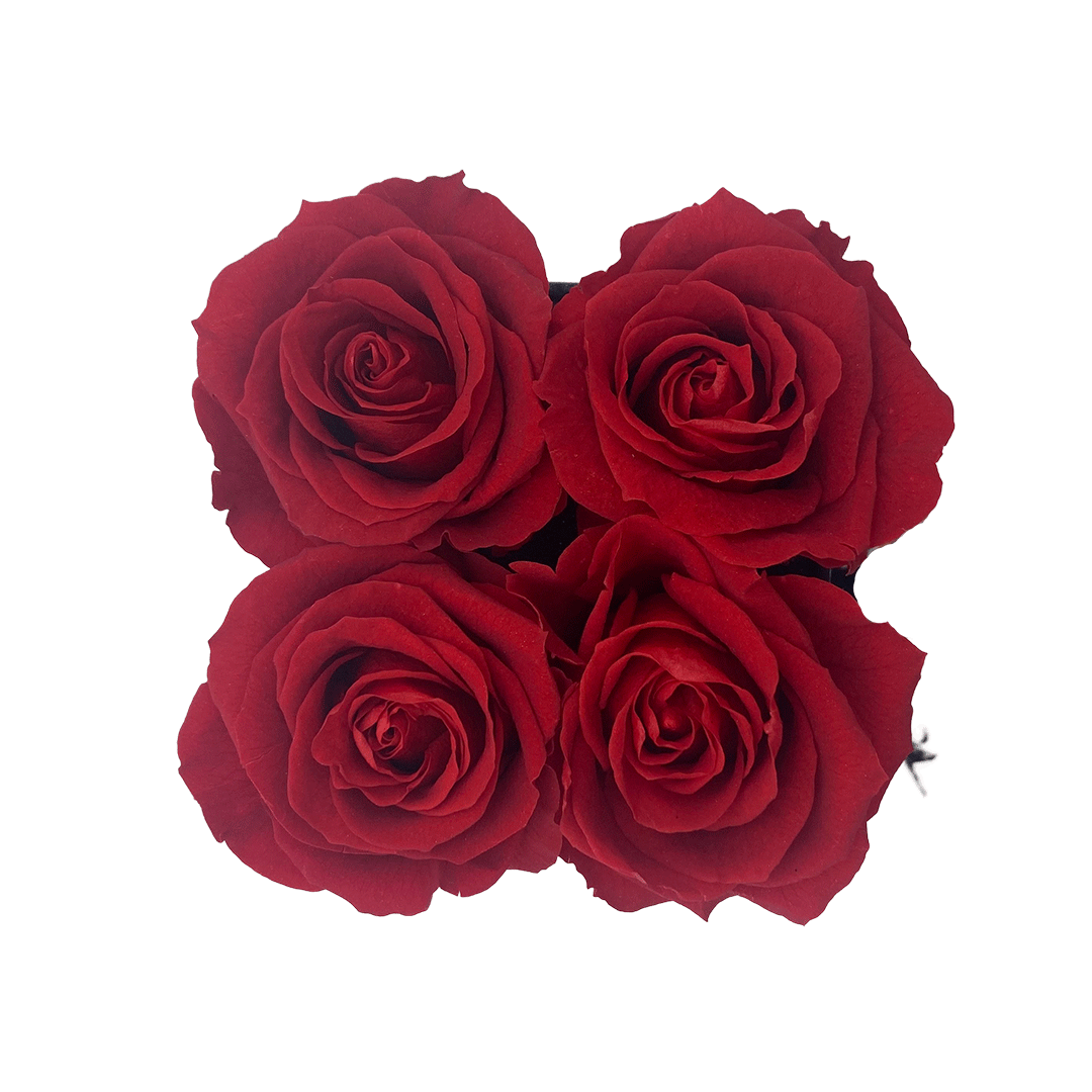 Love on the Rocks - 4 Red Roses