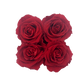 POP Rocks with a Heart - 4 Red Roses
