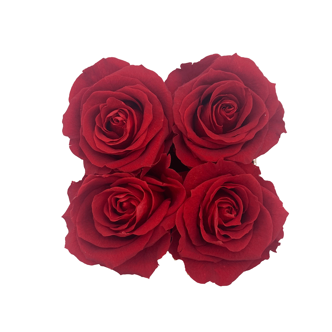 POP Rocks with a Heart - 4 Red Roses