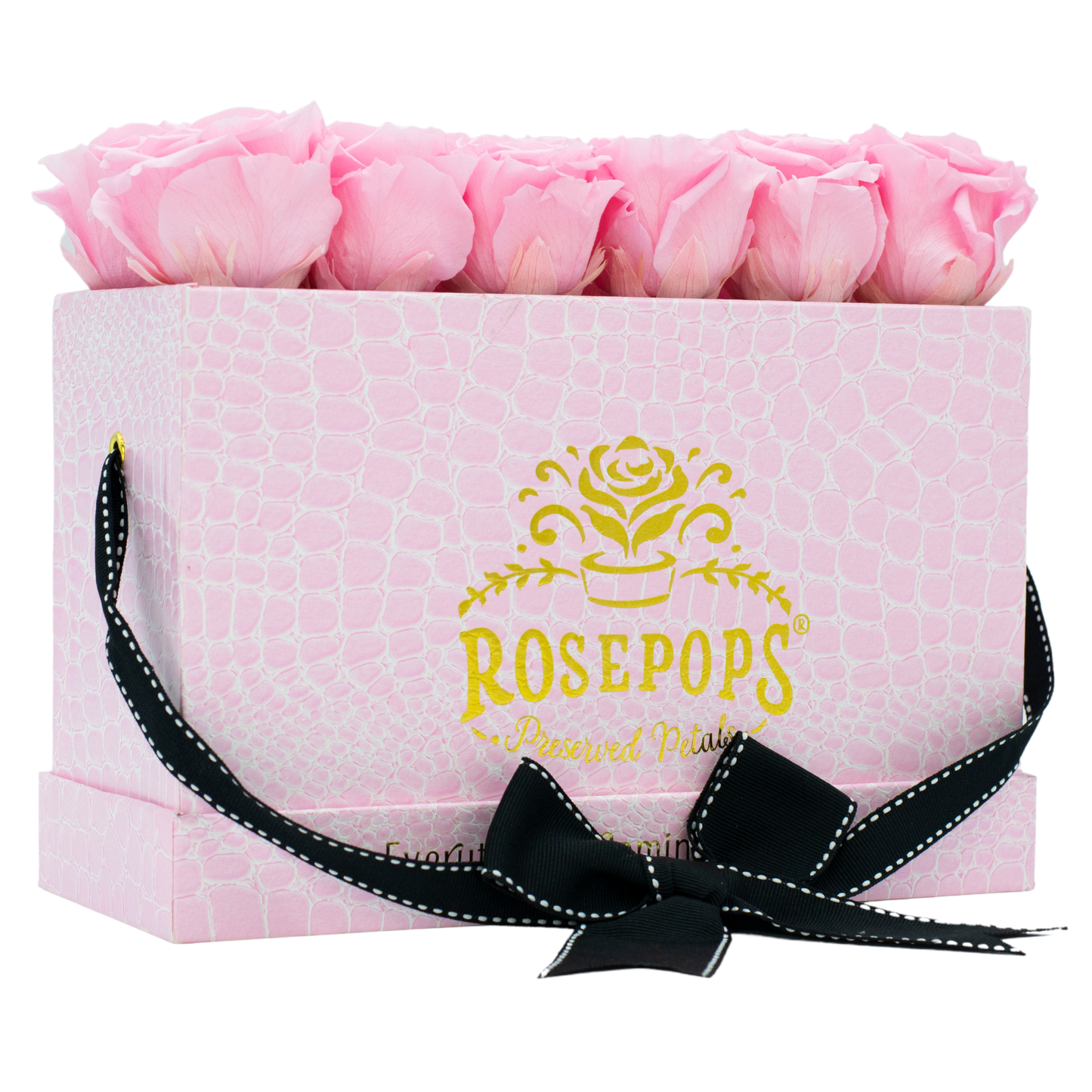 Noontime Petal Pink Deluxe
