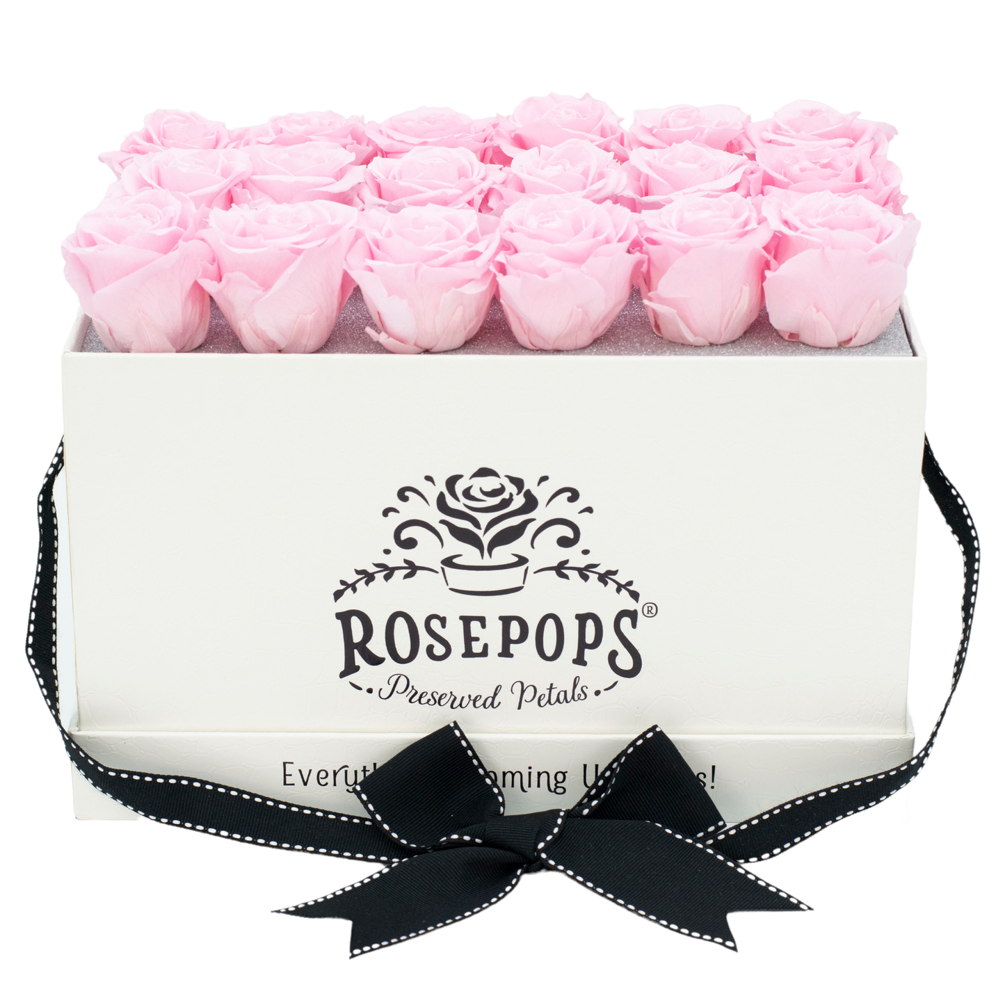 White Croc Pop of the Line - 18 Pink Roses