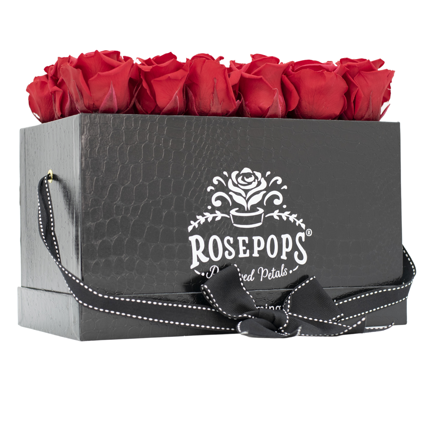 Black Croc Pop of the Line Premium Deluxe