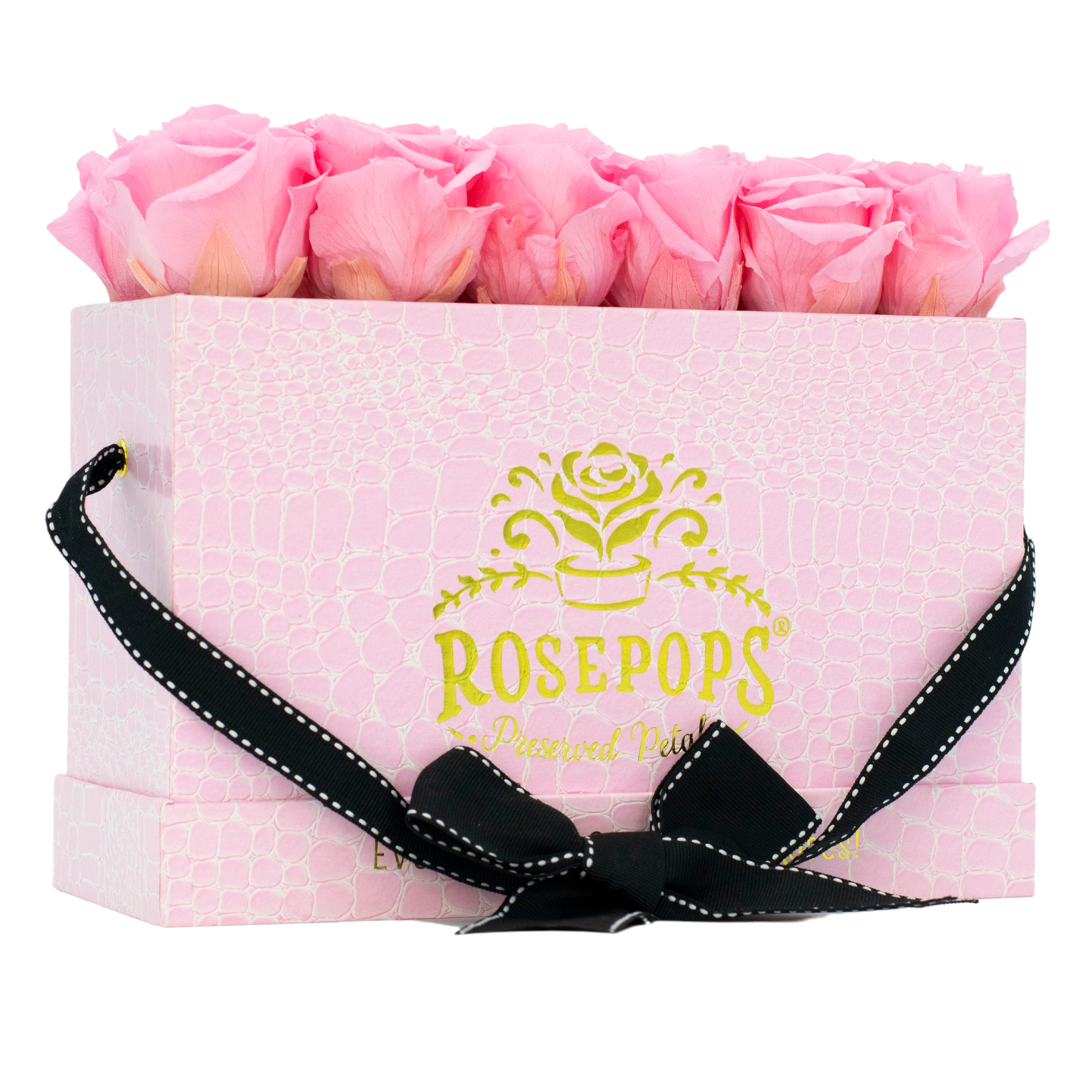 Pink Monogrammed Keeper by the Dozen - 12 Soft Pink Roses