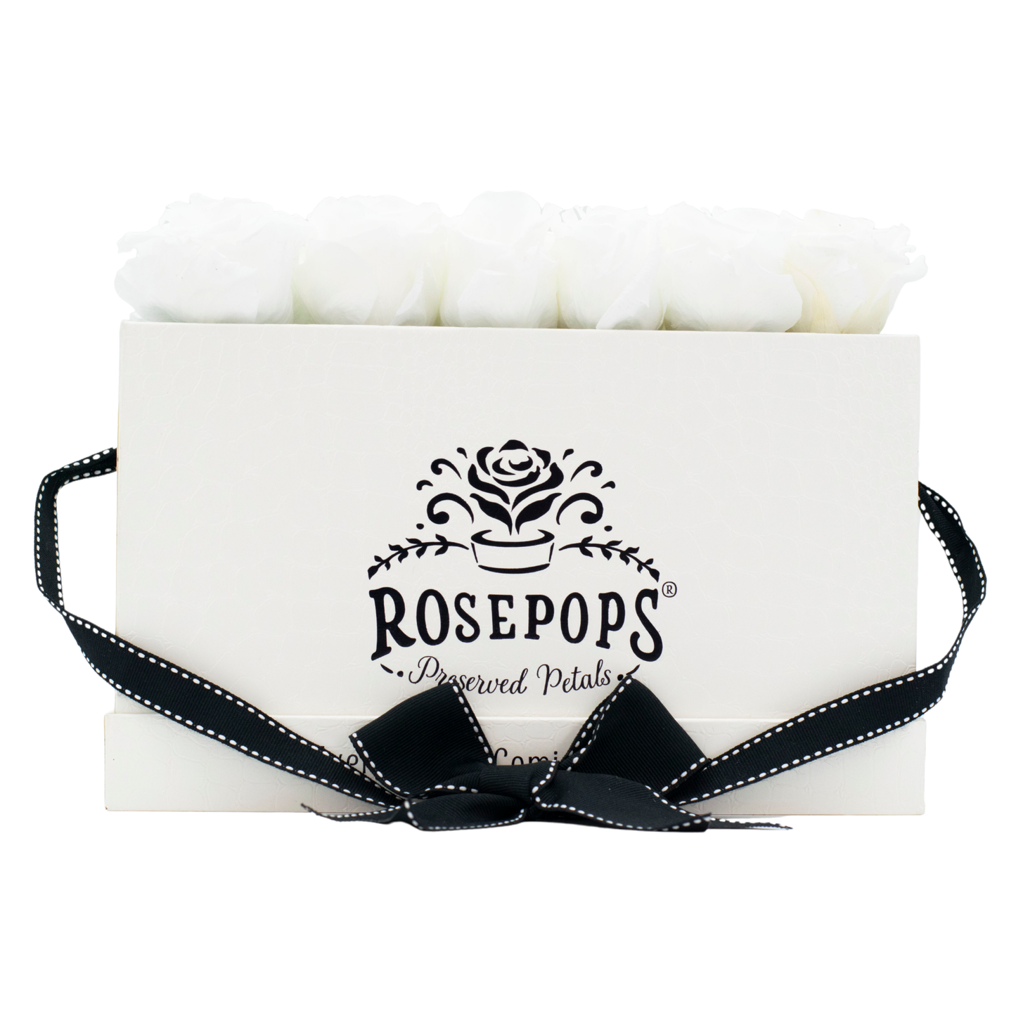 White Monogrammed Keeper by the Dozen - 12 True White Roses