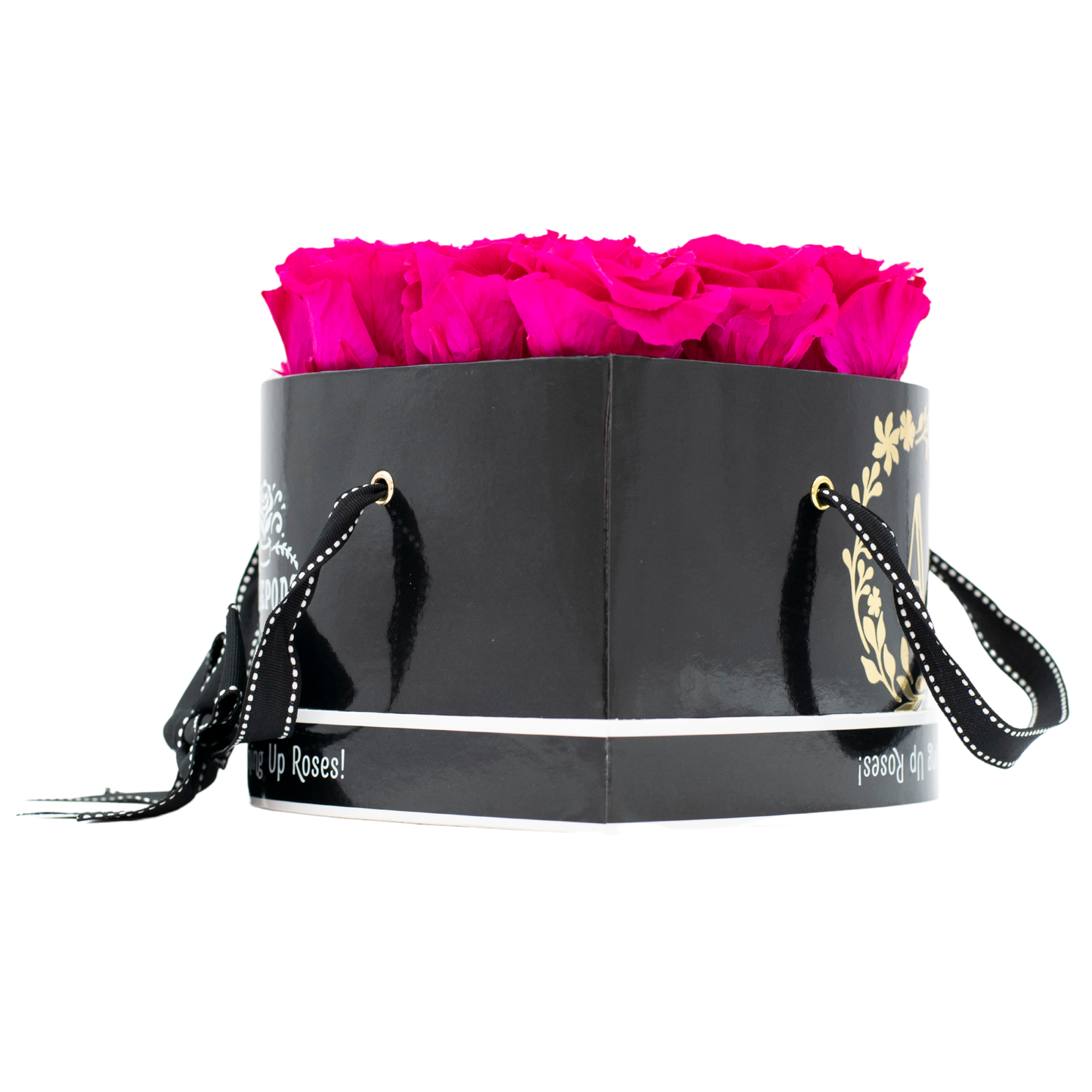 Black Monogrammed Lucky 13 - Raspberry Punch Roses