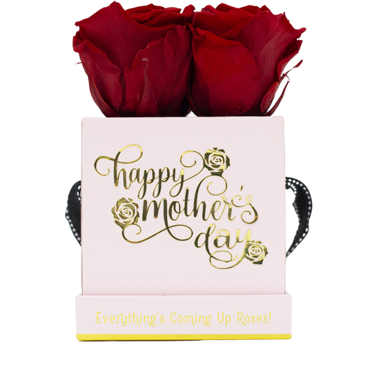 Four your Special Day (Mom/Grandma) - 4 Red Roses