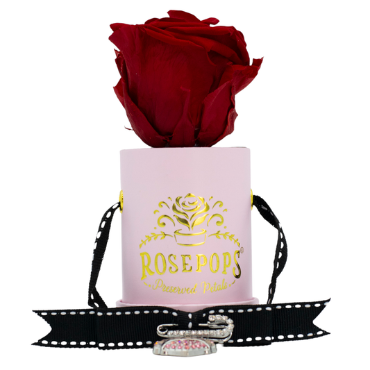 Happy Day (Mom/Grandma) - Single Red Rose