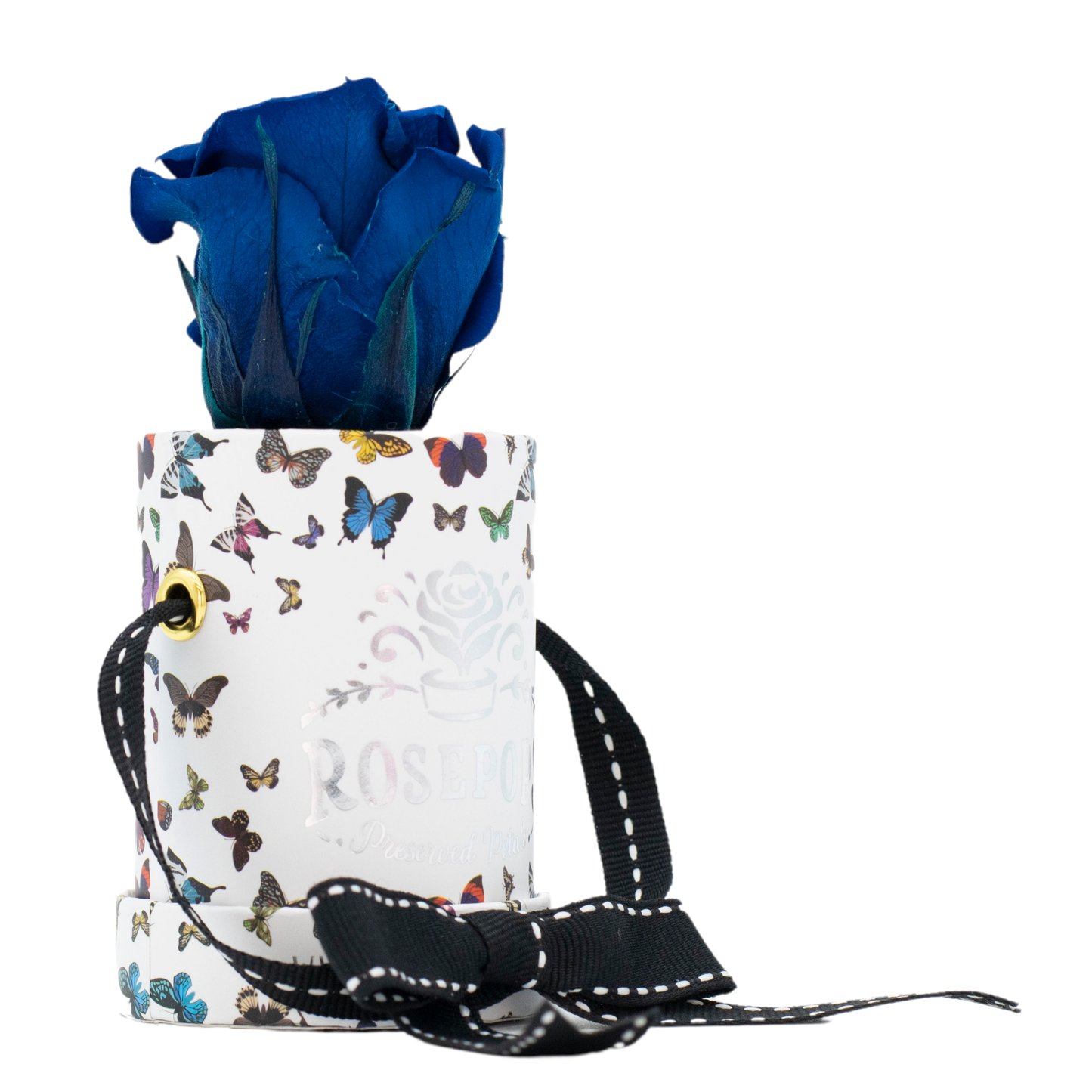 Butterfly One up DELUXE