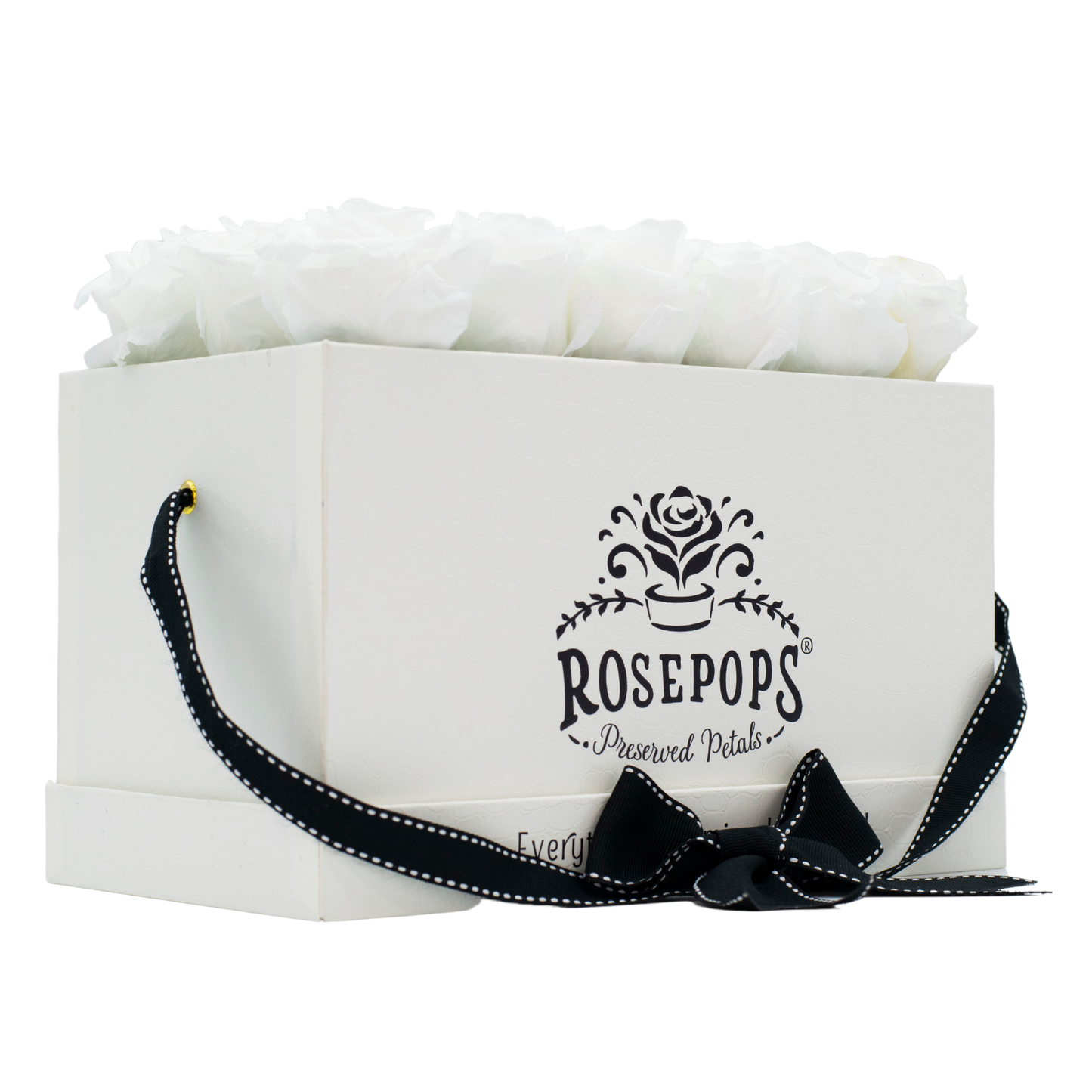 White Monogrammed Pop of the Line - 18 Marshmallow Fluff Roses