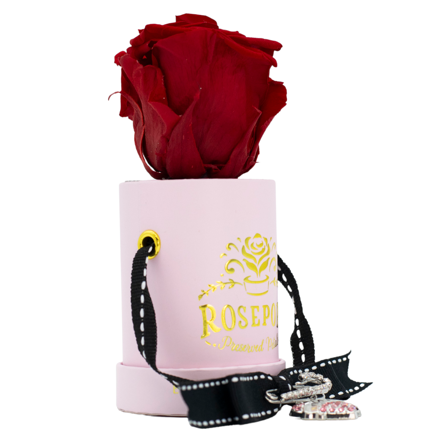 Happy Day (Mom/Grandma) - Single Red Rose