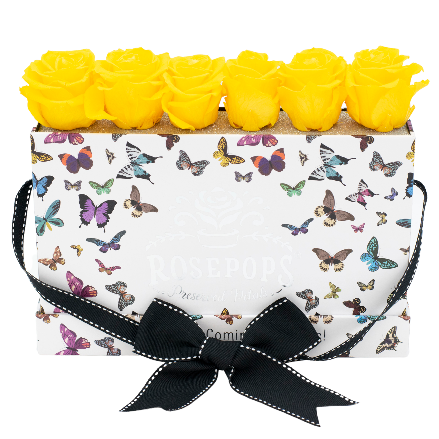 Butterfly Sixer Upper DELUXE